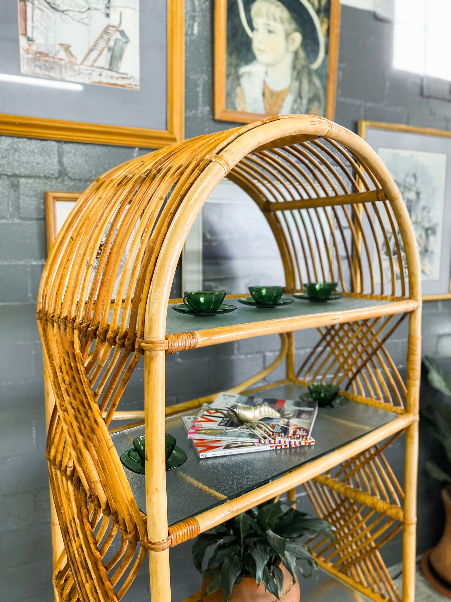 Cane Display Unit