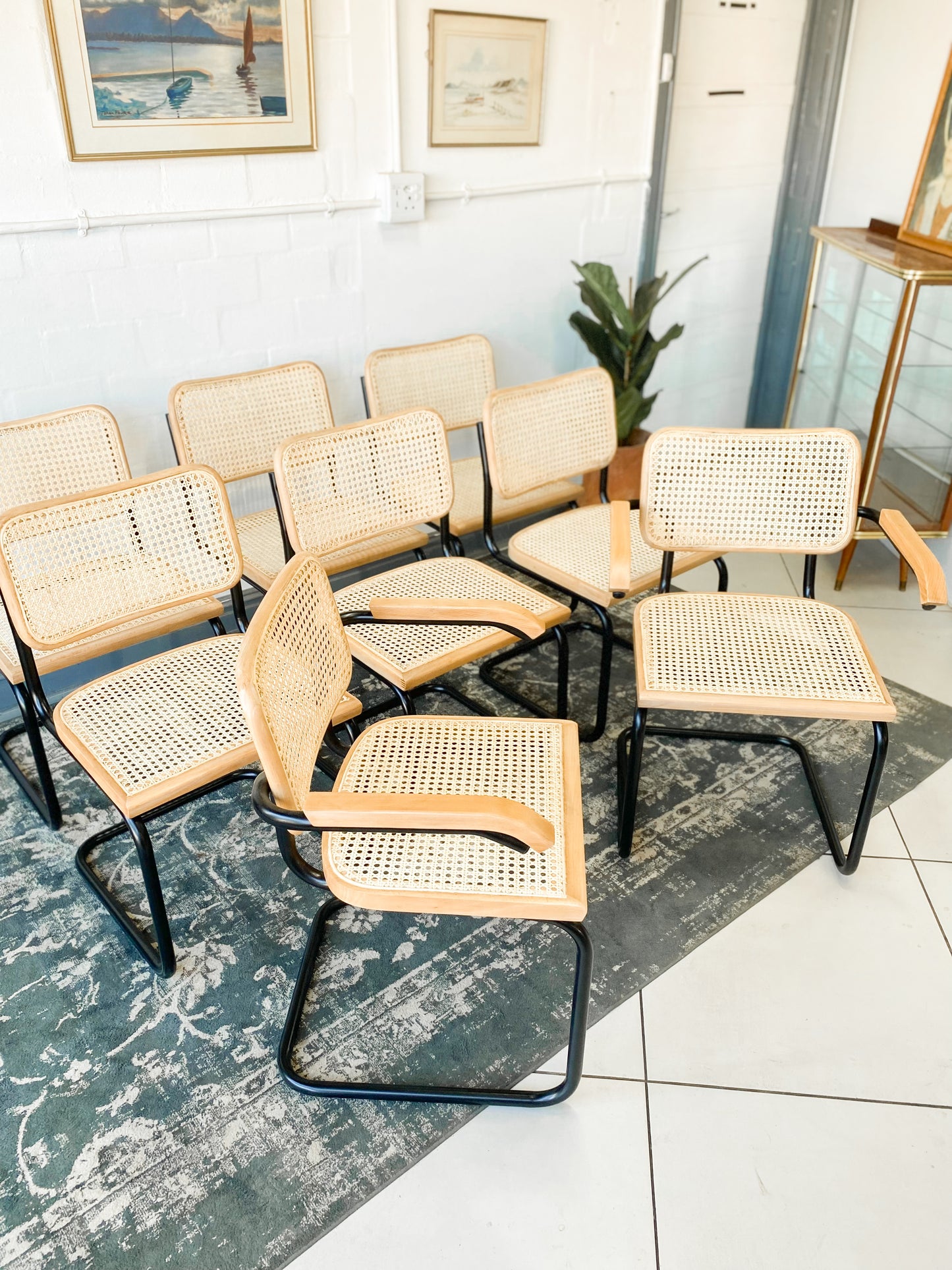 Set of 8 Cesca Style Dining Chairs