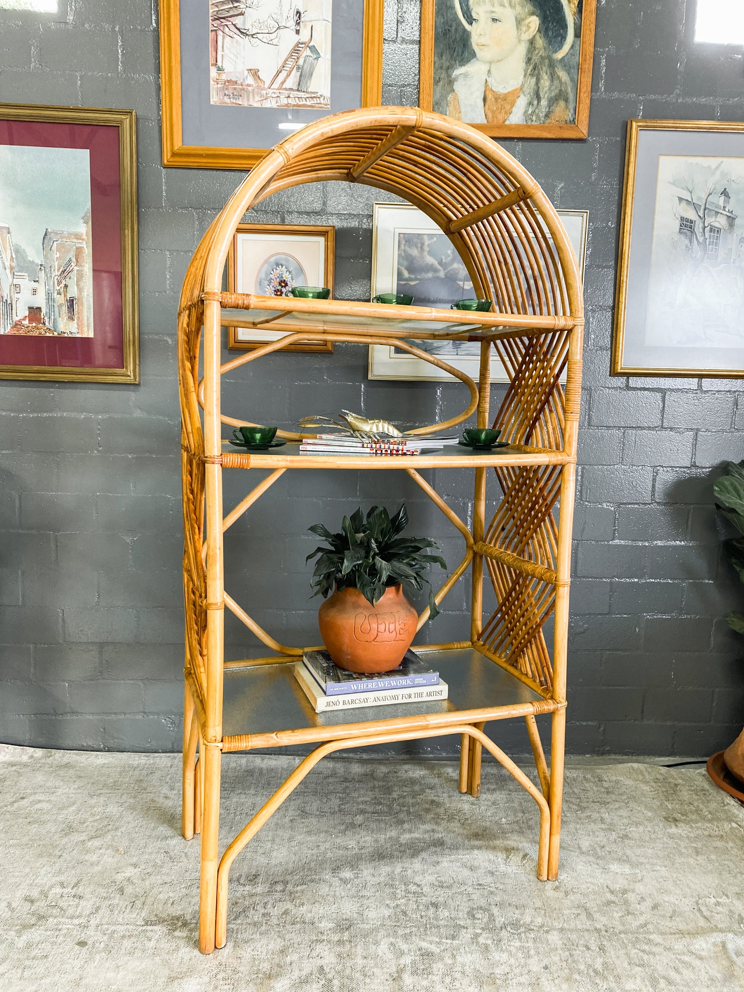 Cane Display Unit