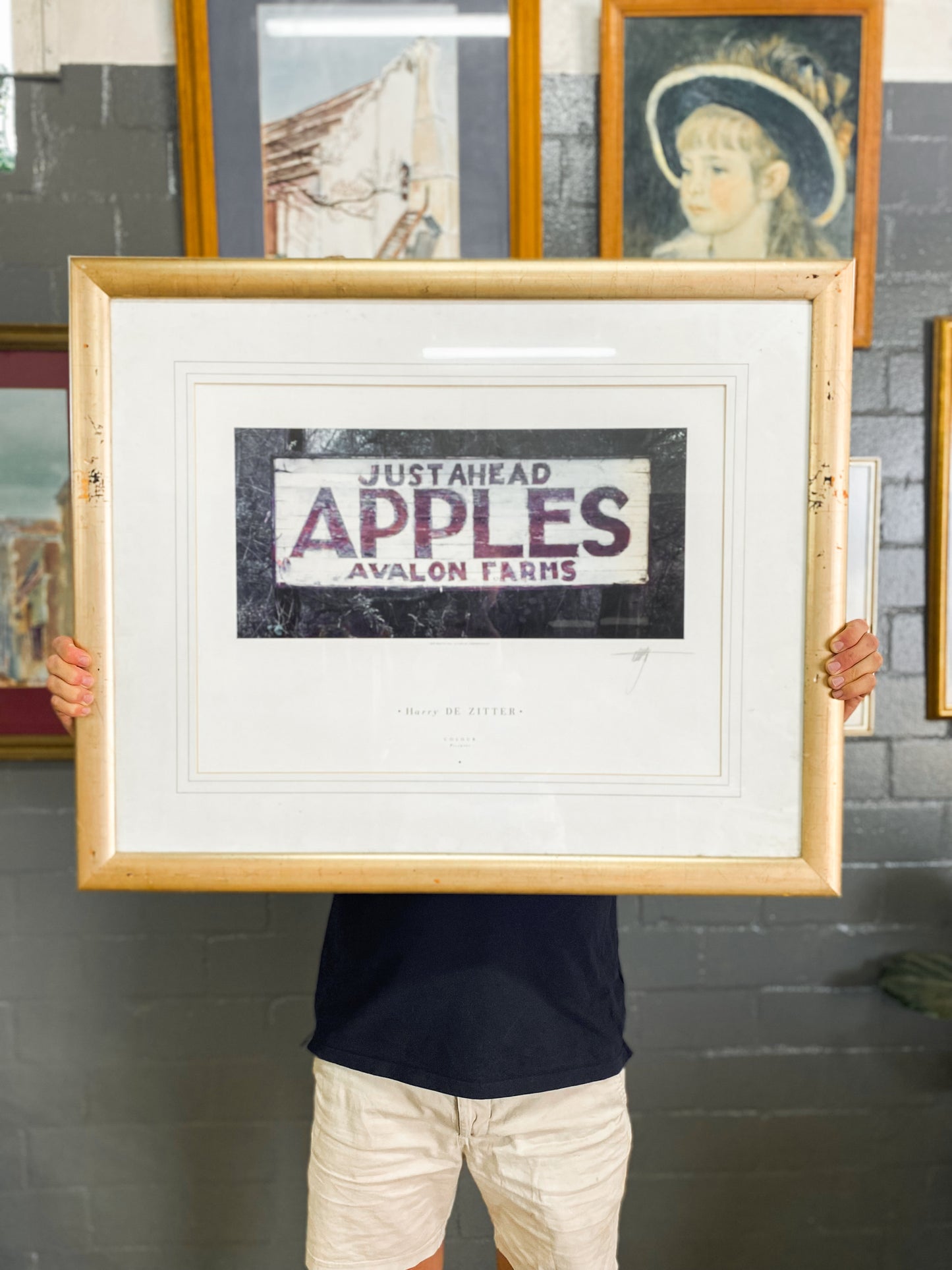 Harry De Zitter Signed & Framed Print