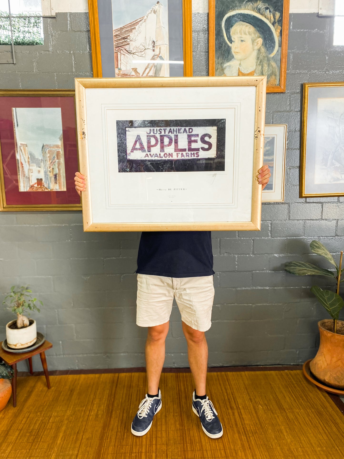 Harry De Zitter Signed & Framed Print