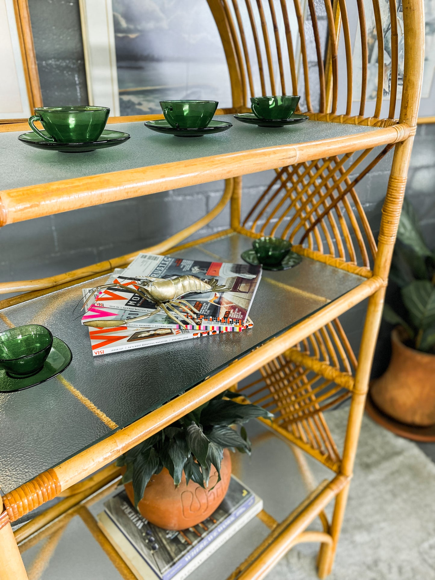 Cane Display Unit