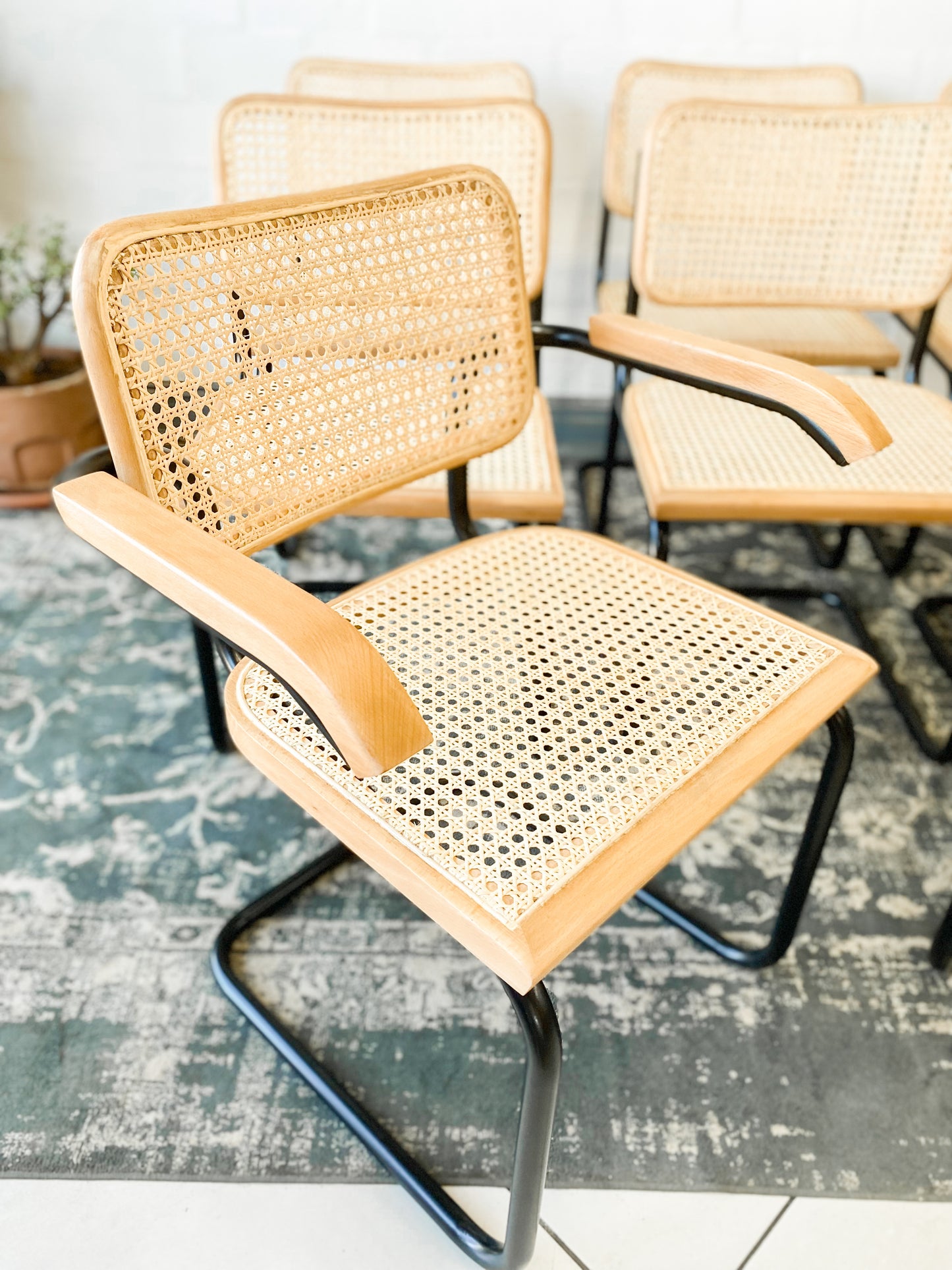 Set of 8 Cesca Style Dining Chairs