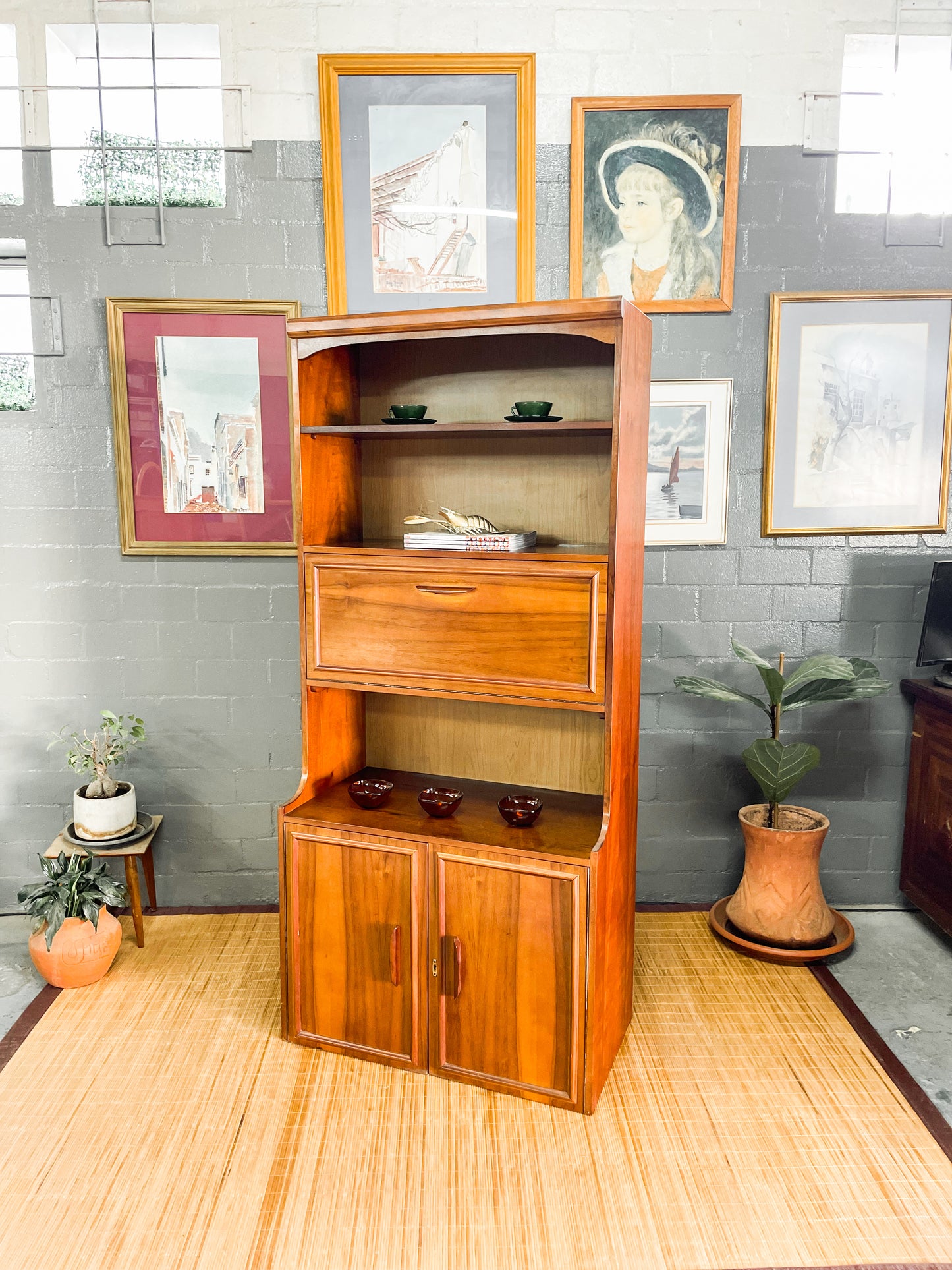 Mid Century Wall Unit