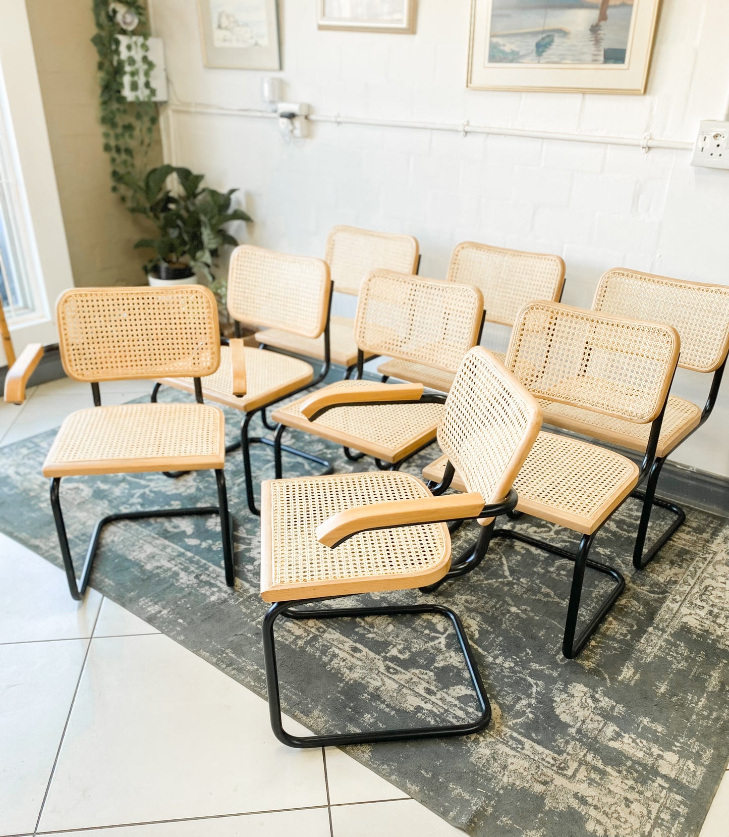 Set of 8 Cesca Style Dining Chairs