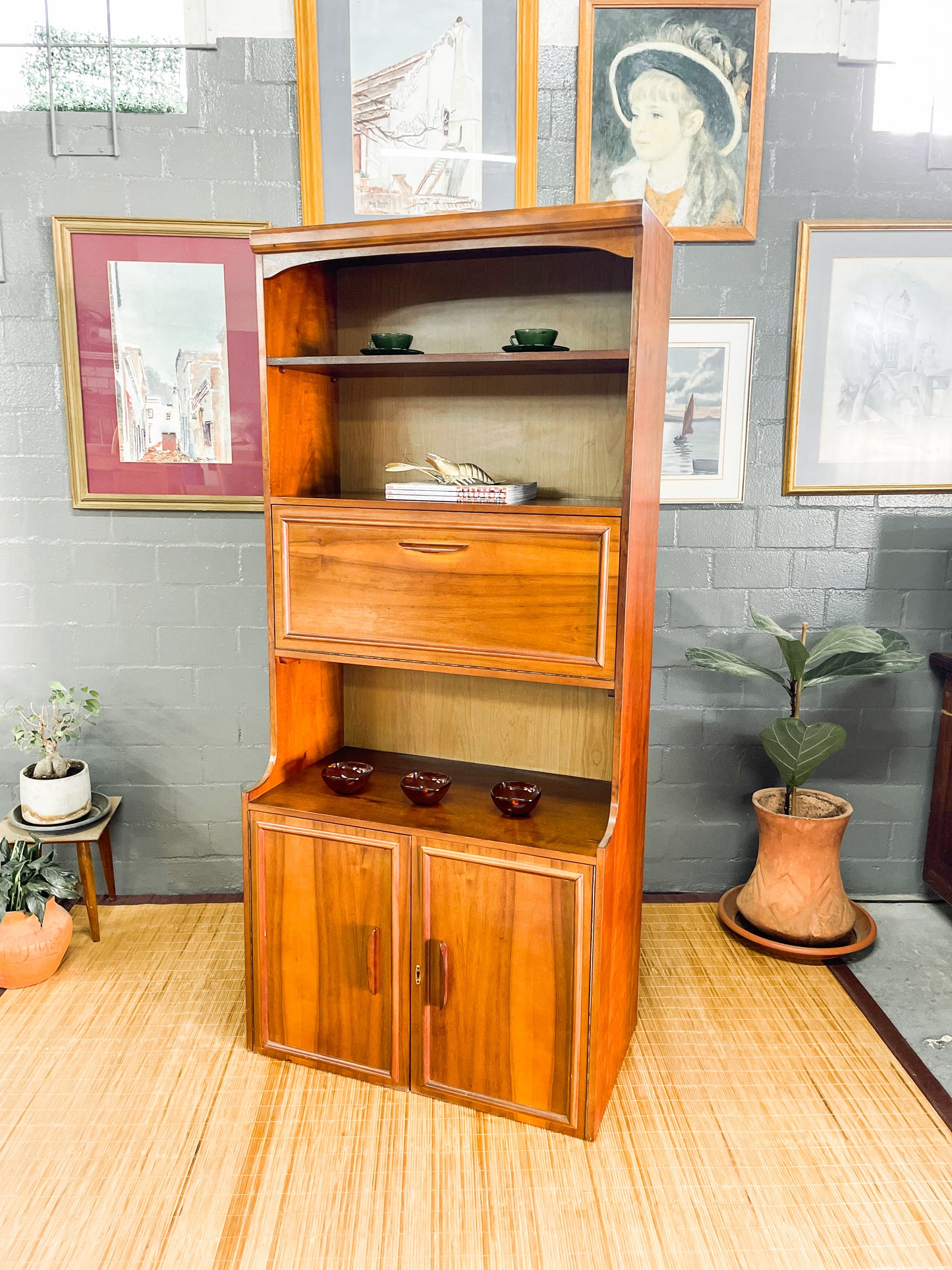 Mid Century Wall Unit