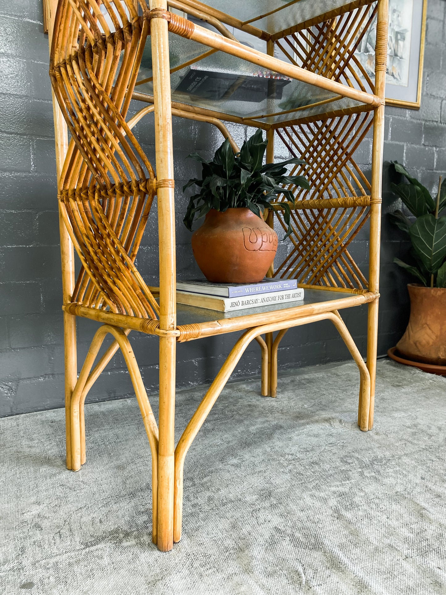 Cane Display Unit