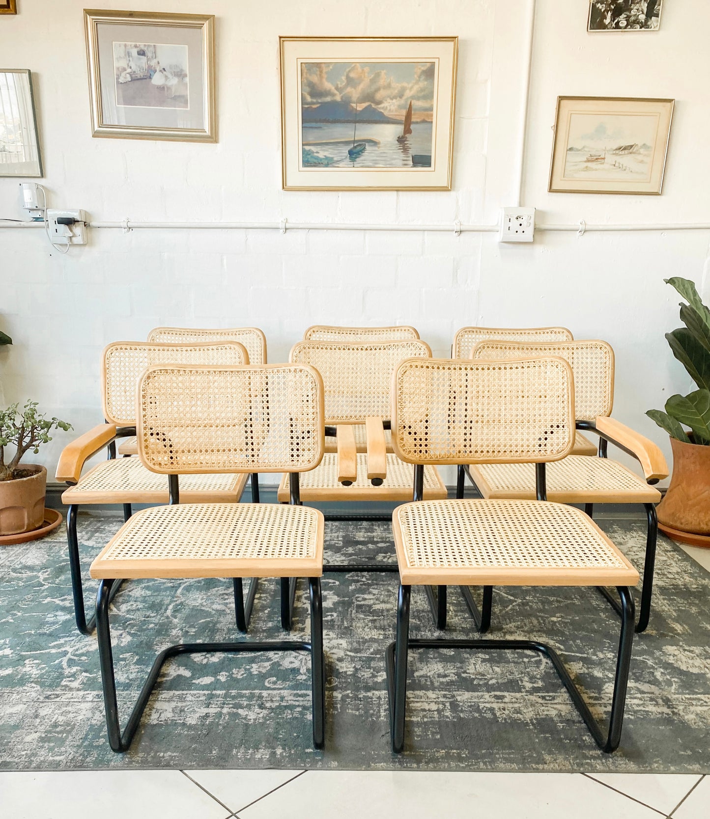 Set of 8 Cesca Style Dining Chairs