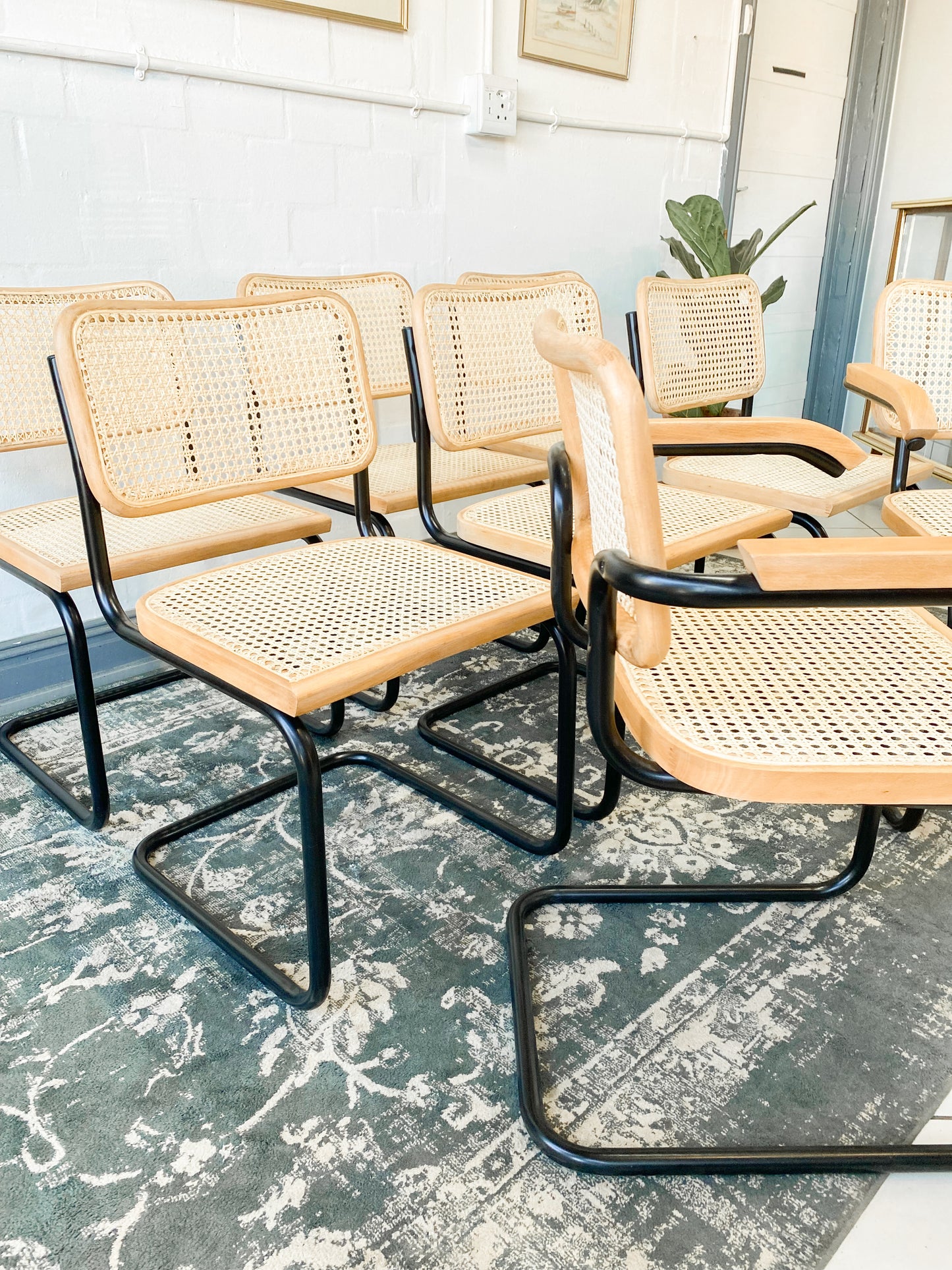 Set of 8 Cesca Style Dining Chairs