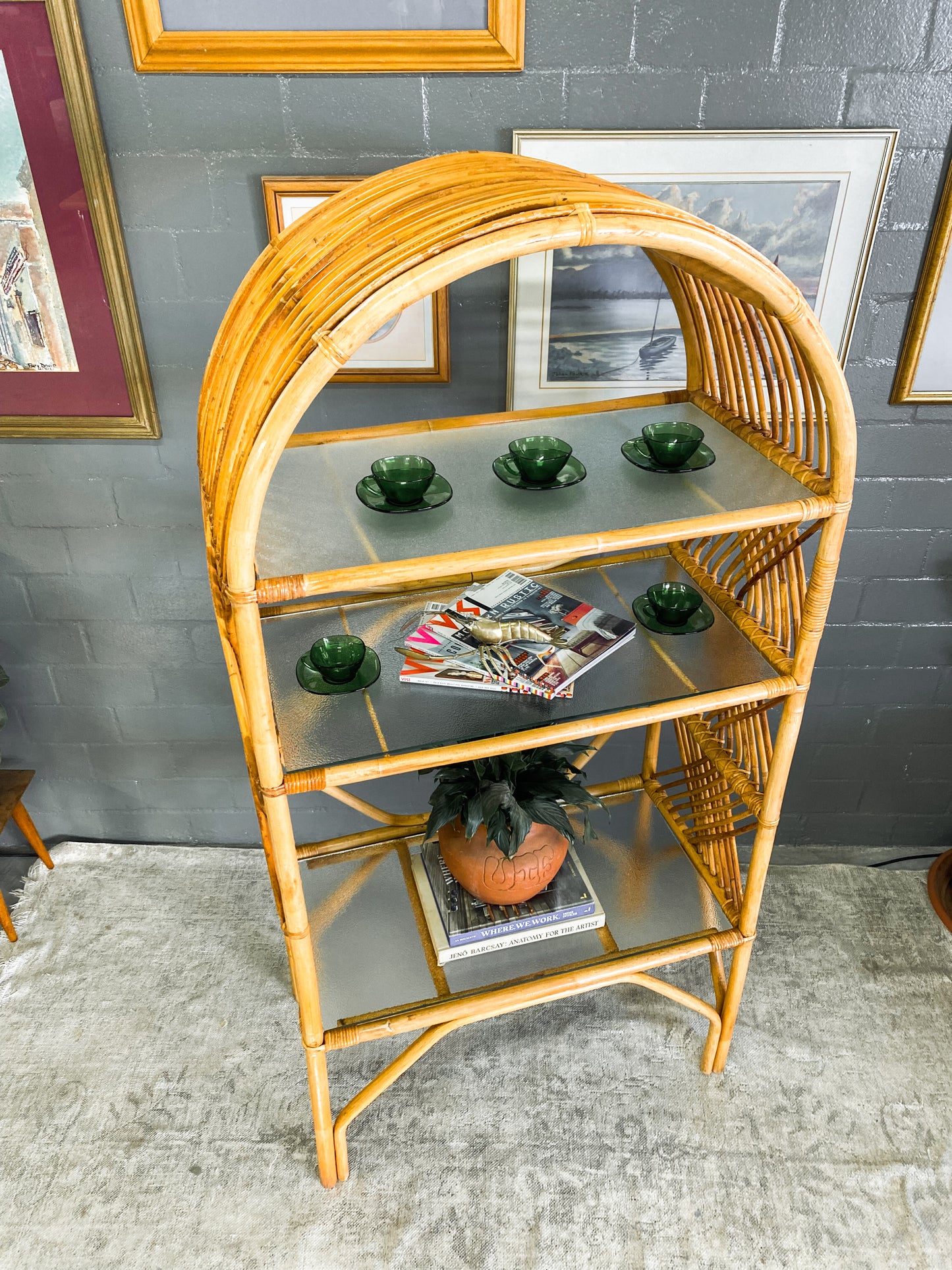 Cane Display Unit