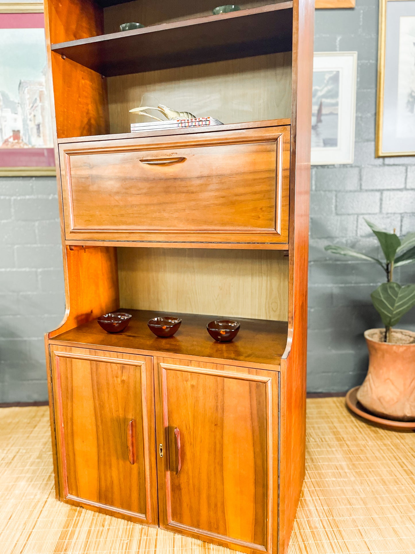 Mid Century Wall Unit
