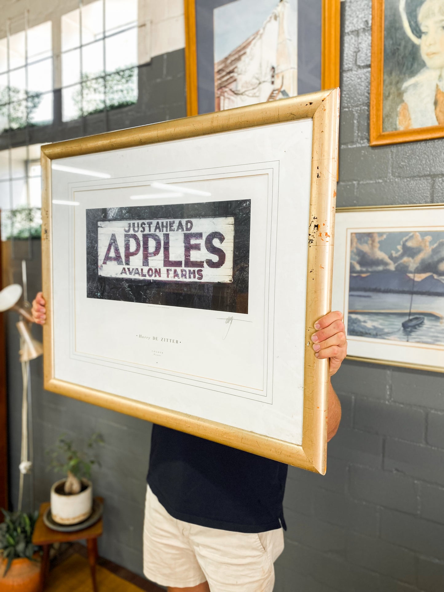 Harry De Zitter Signed & Framed Print