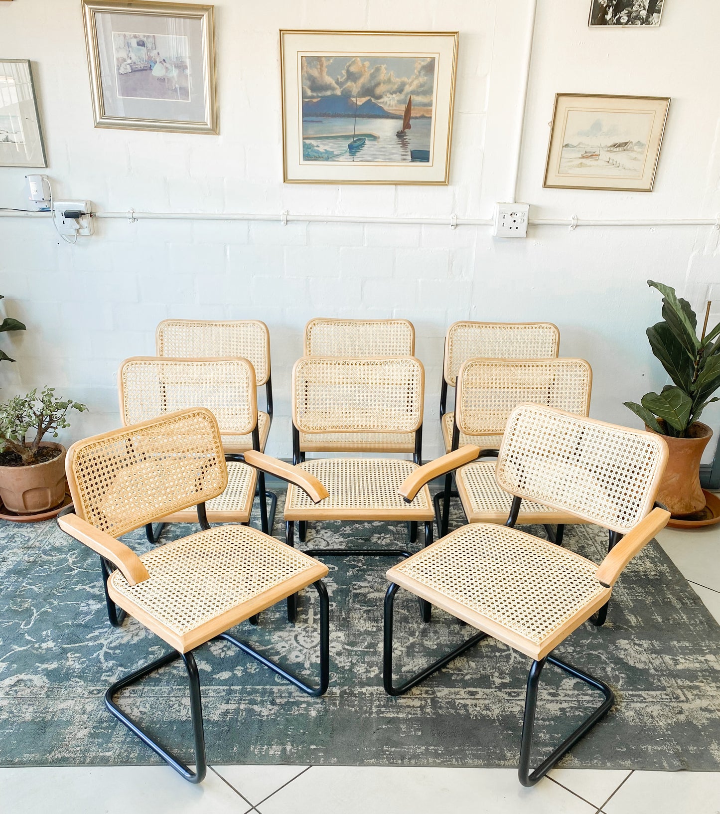 Set of 8 Cesca Style Dining Chairs
