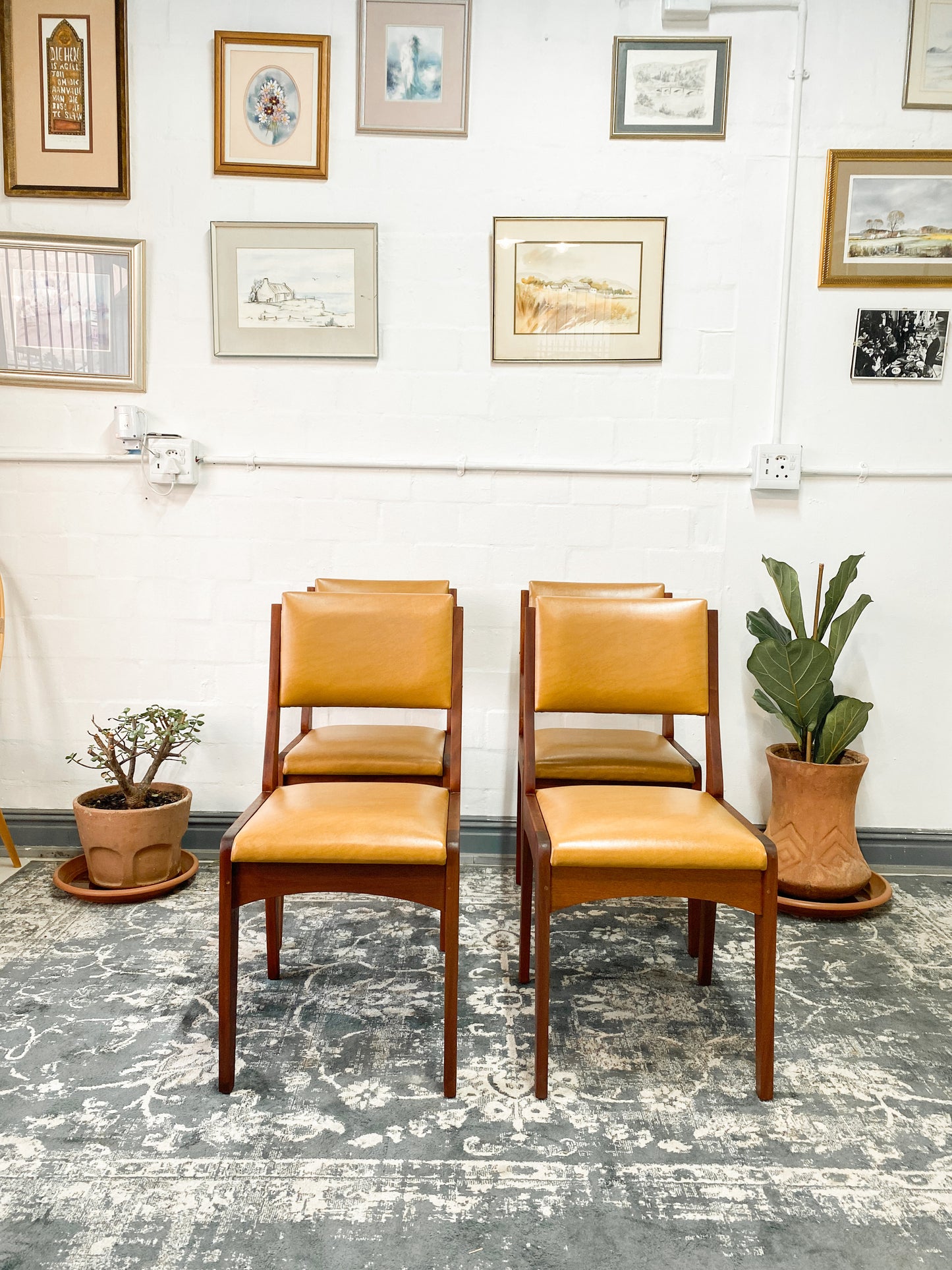 Mid Century Dining Chairs x 4
