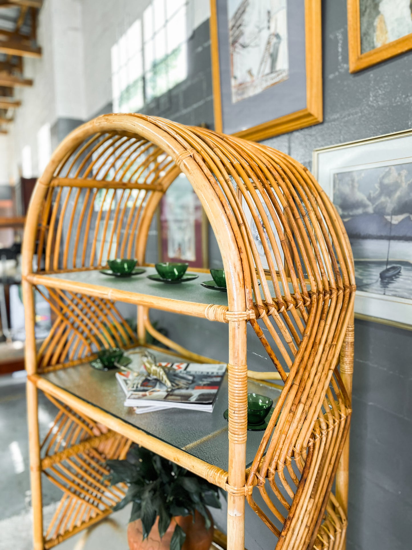 Cane Display Unit