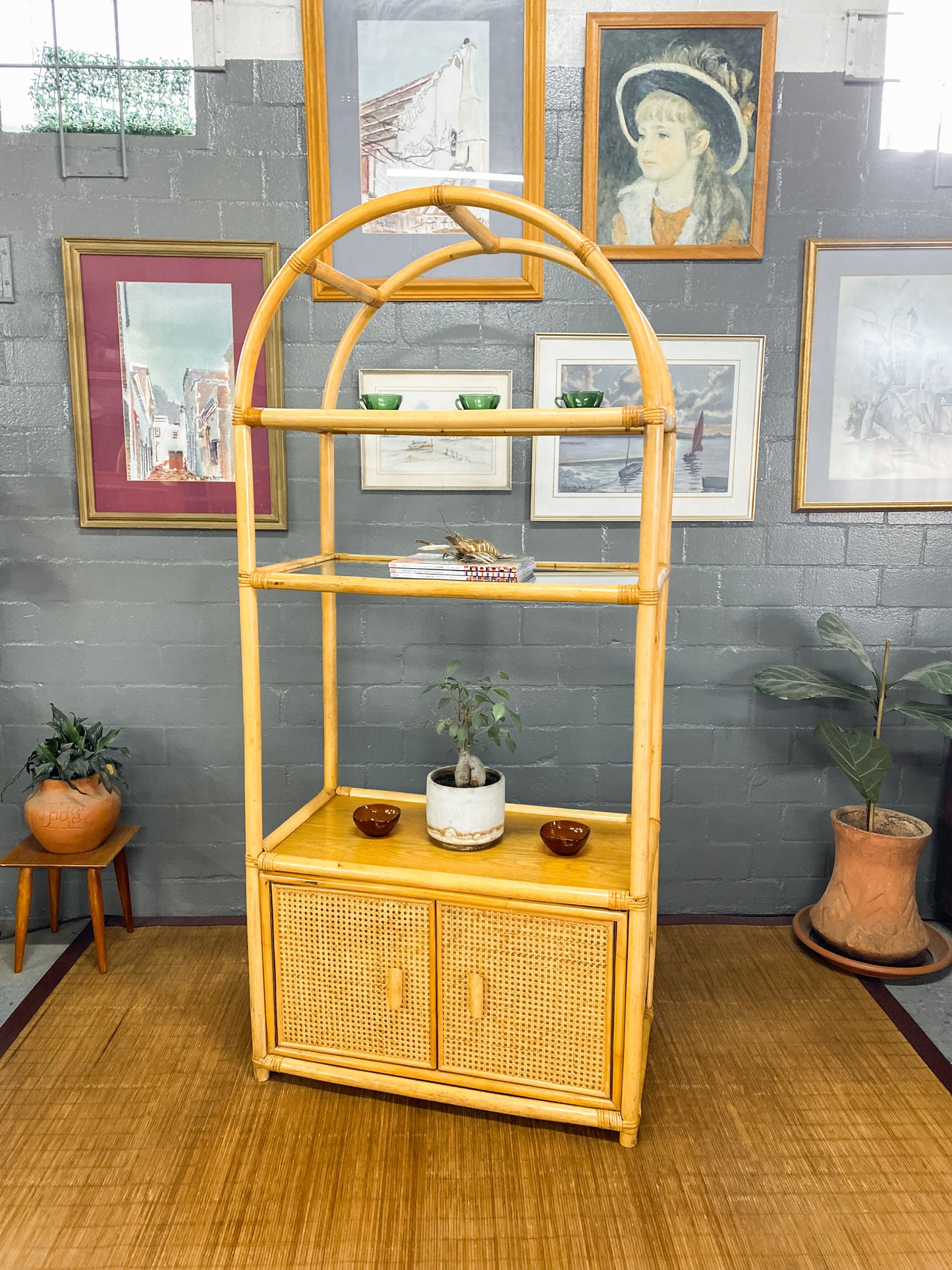 Cane Display Unit
