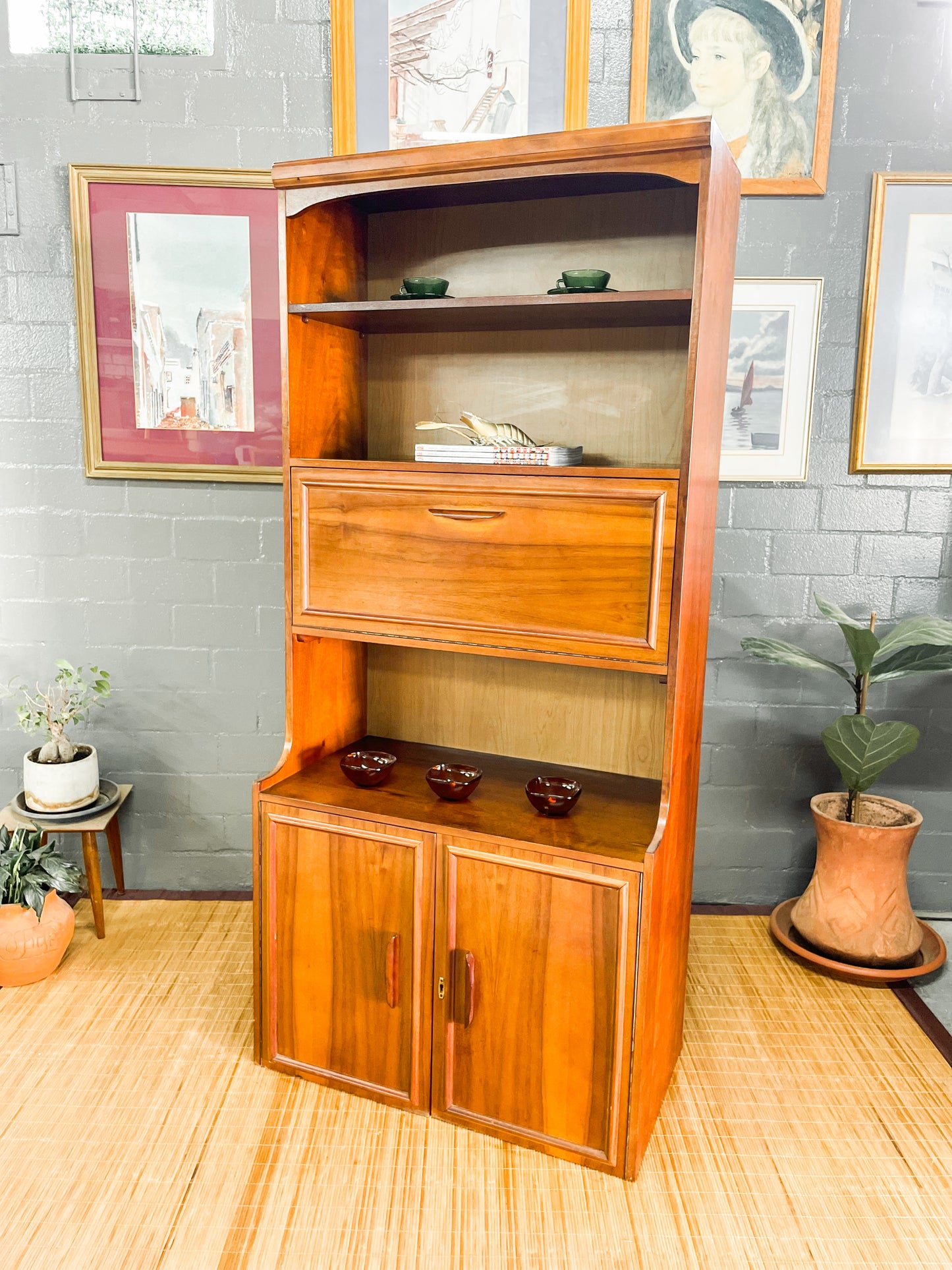Mid Century Wall Unit