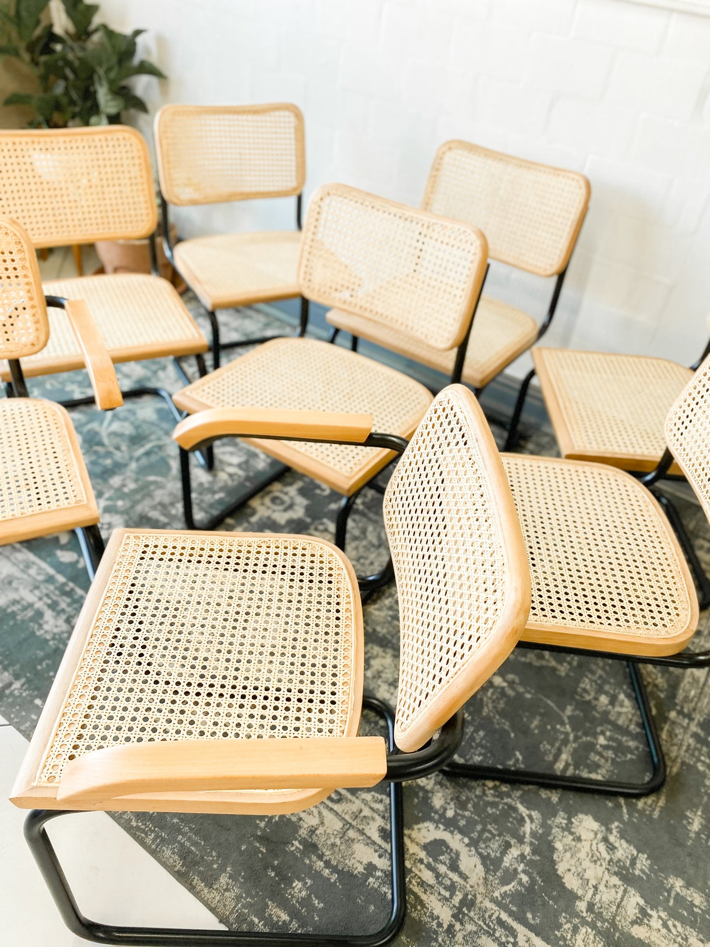 Set of 8 Cesca Style Dining Chairs
