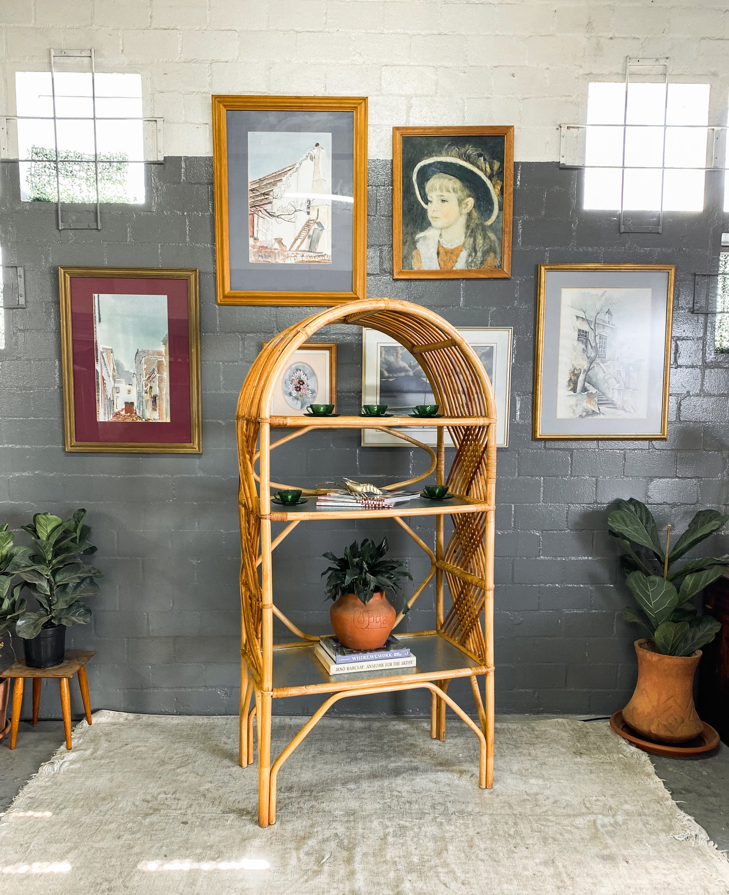 Cane Display Unit