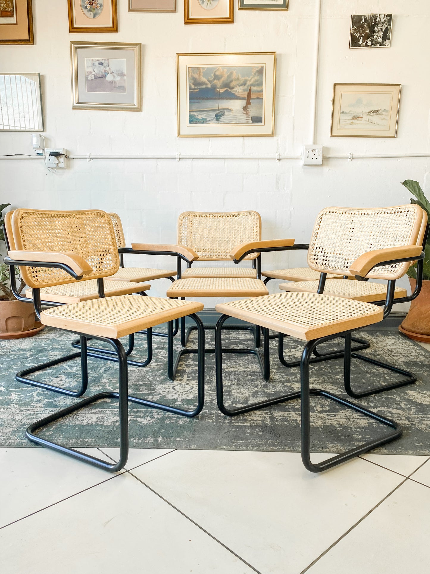 Set of 8 Cesca Style Dining Chairs