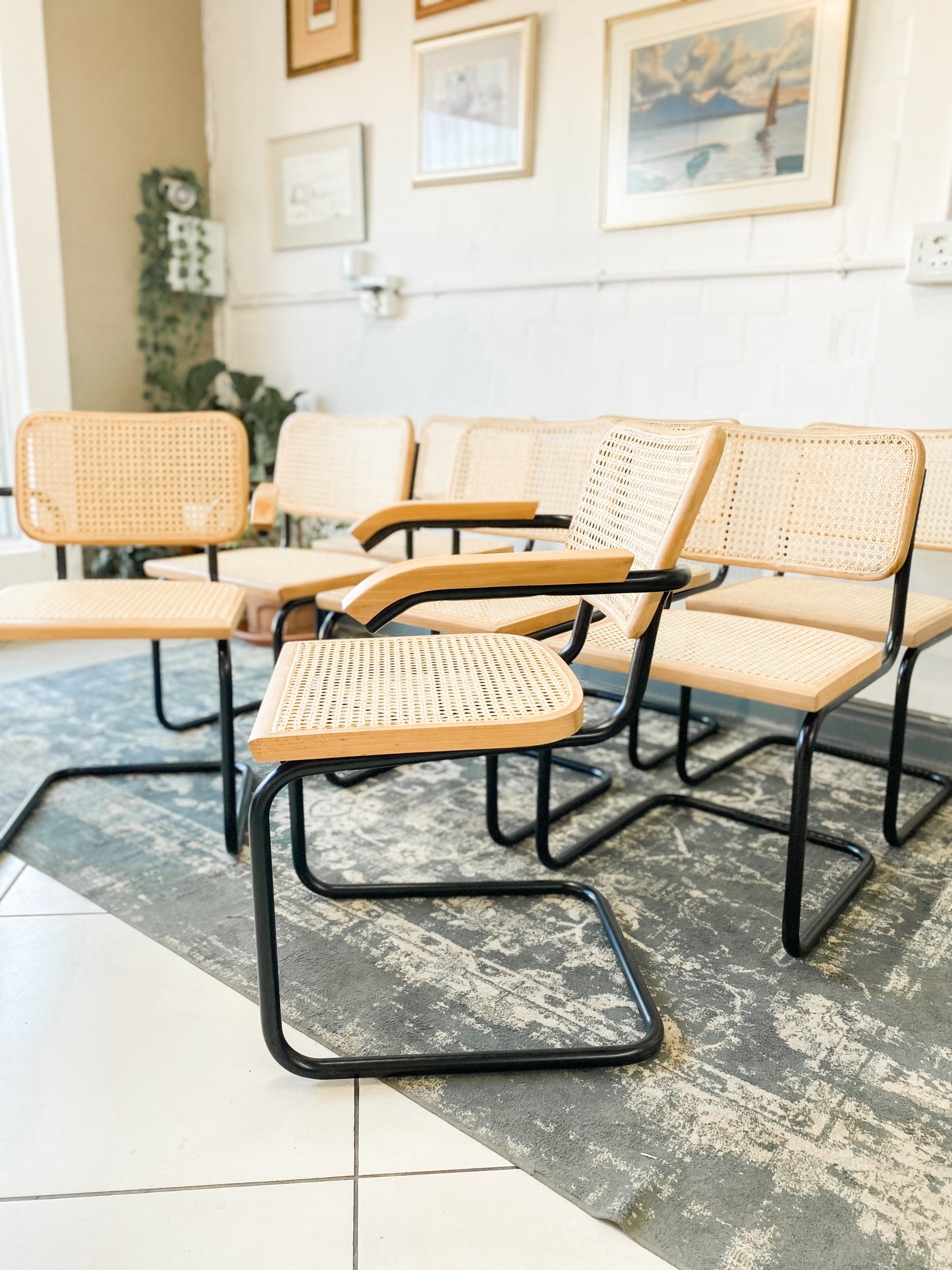 Set of 8 Cesca Style Dining Chairs