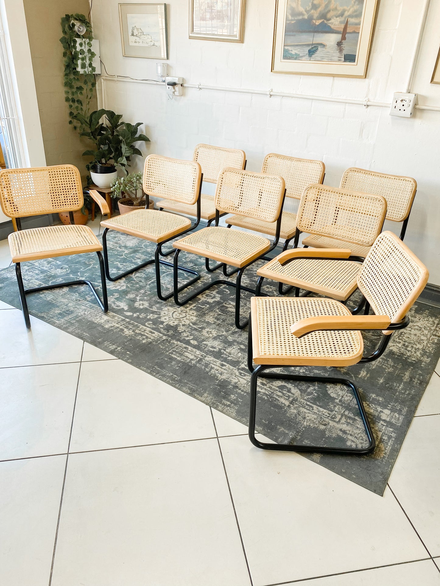Set of 8 Cesca Style Dining Chairs