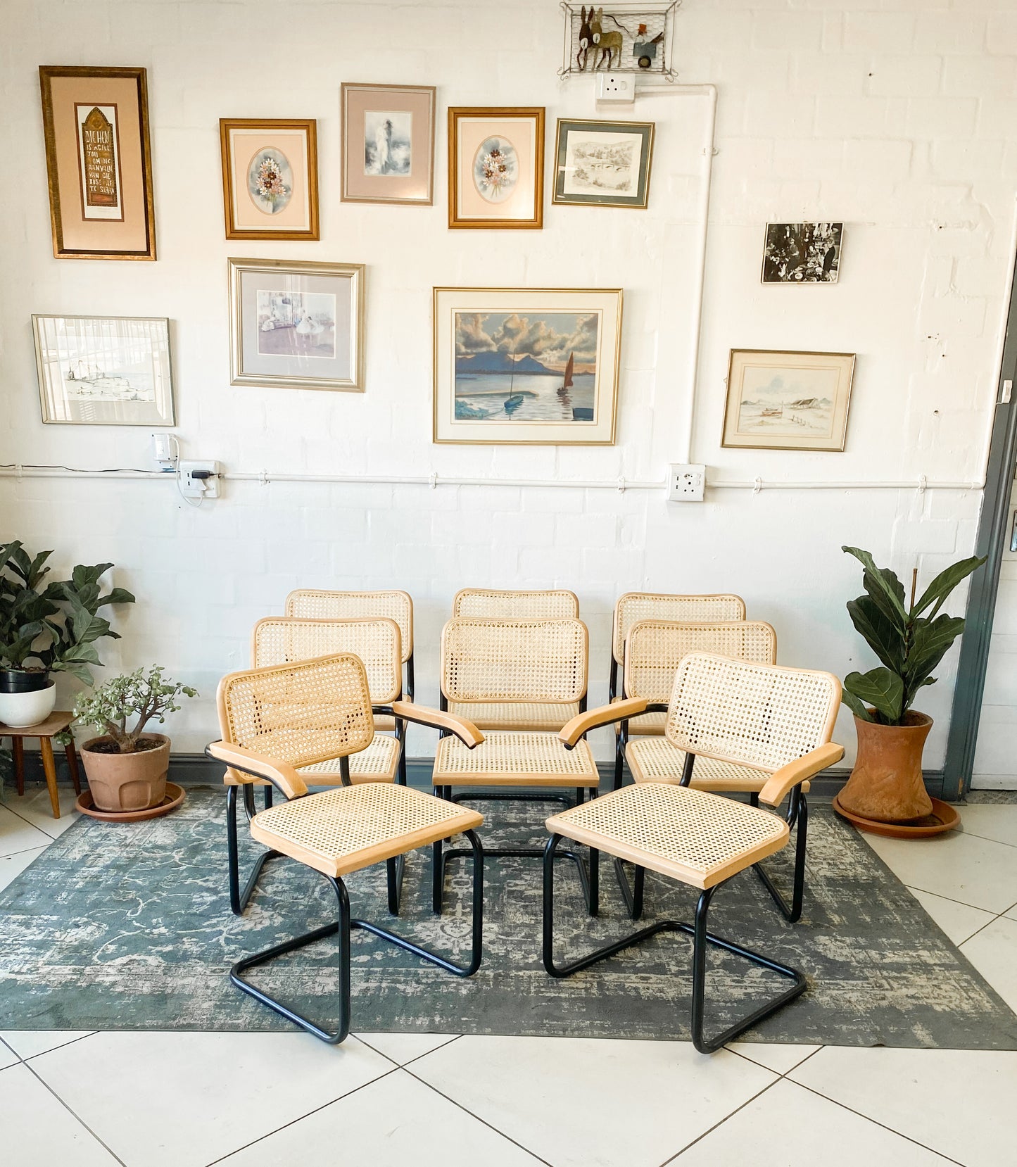 Set of 8 Cesca Style Dining Chairs
