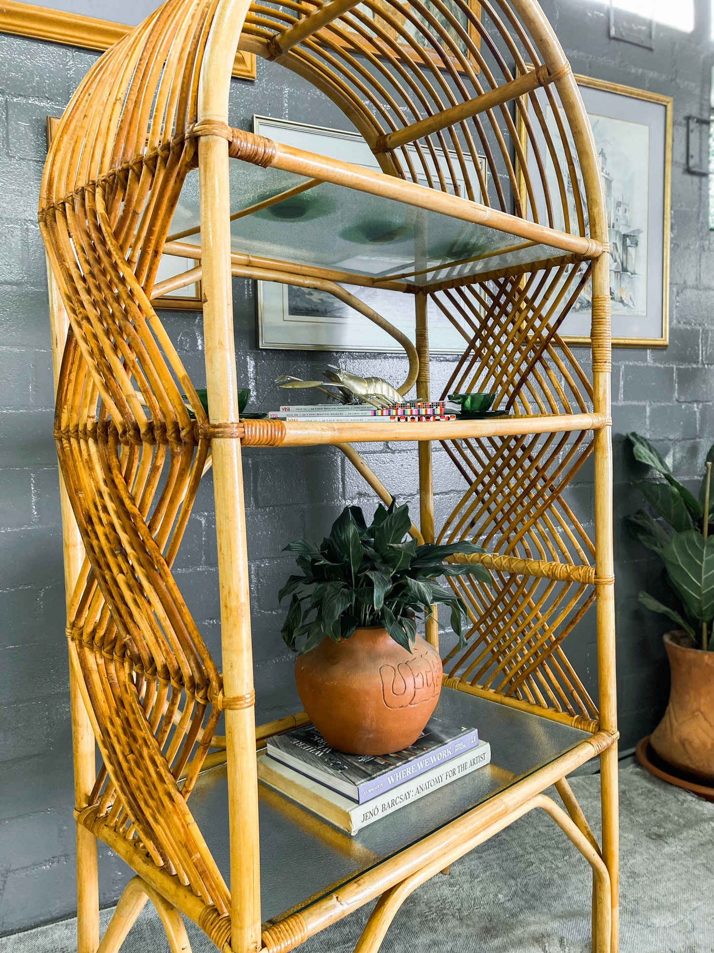 Cane Display Unit