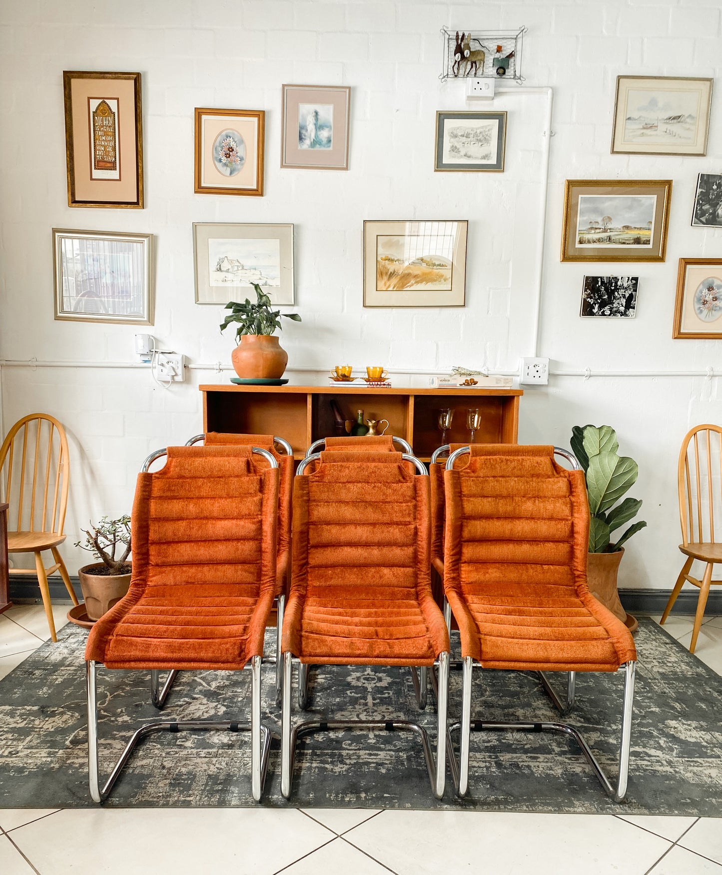 Six Bauhaus Tubular Dining Chairs in Burnt Umber Upholstery