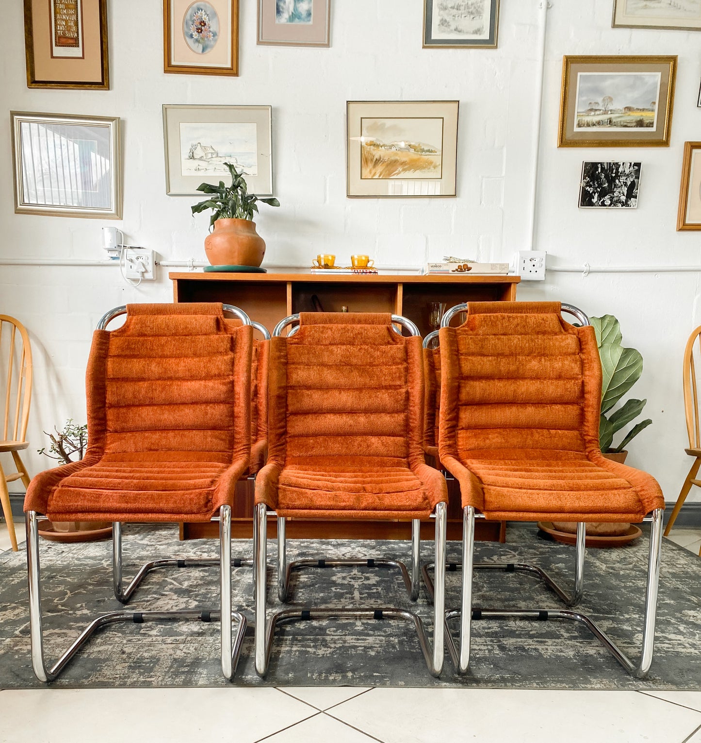 Six Bauhaus Tubular Dining Chairs in Burnt Umber Upholstery