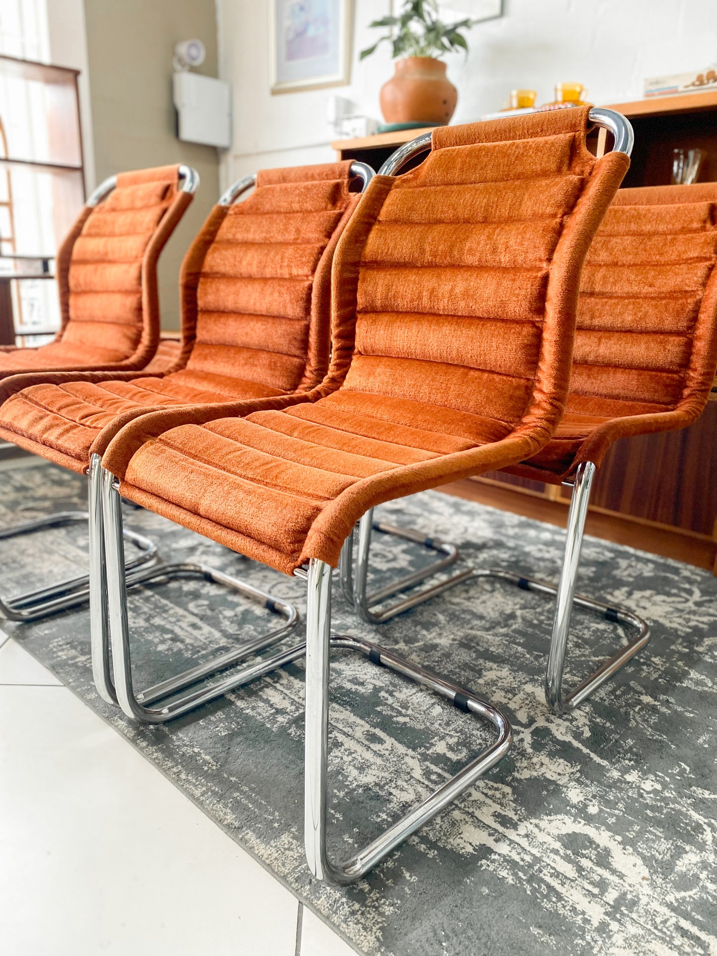 Six Bauhaus Tubular Dining Chairs in Burnt Umber Upholstery