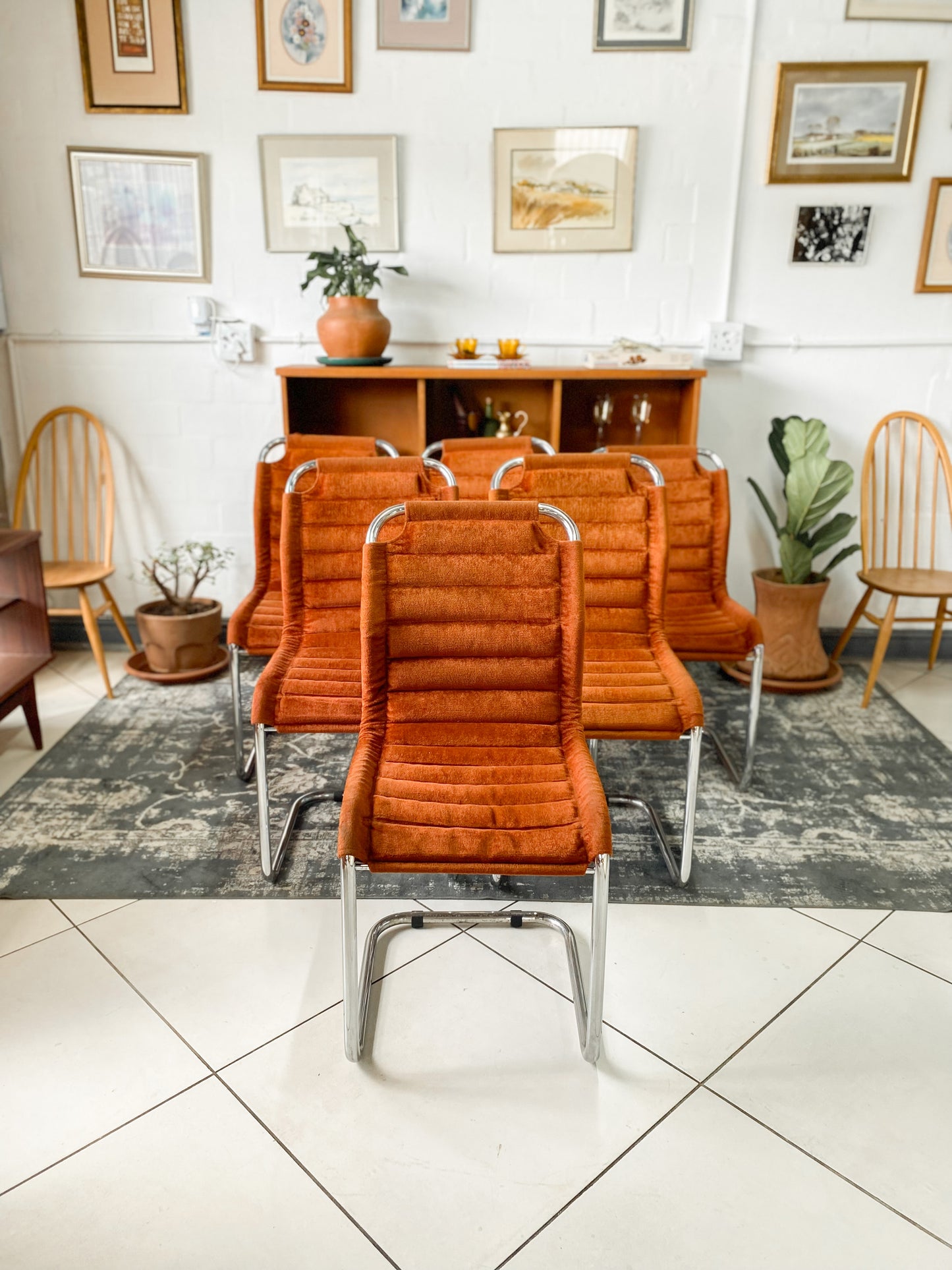 Six Bauhaus Tubular Dining Chairs in Burnt Umber Upholstery