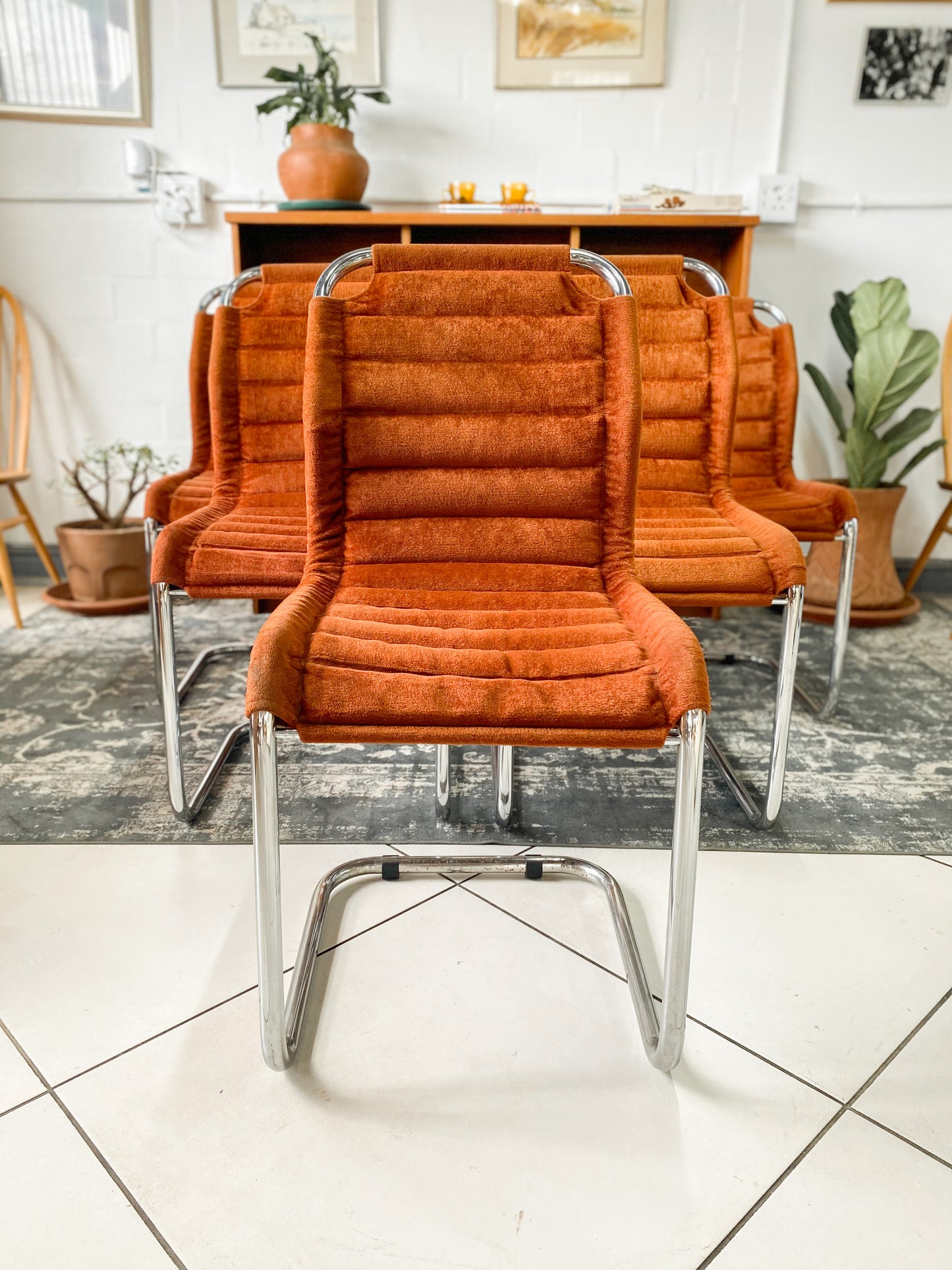 Six Bauhaus Tubular Dining Chairs in Burnt Umber Upholstery
