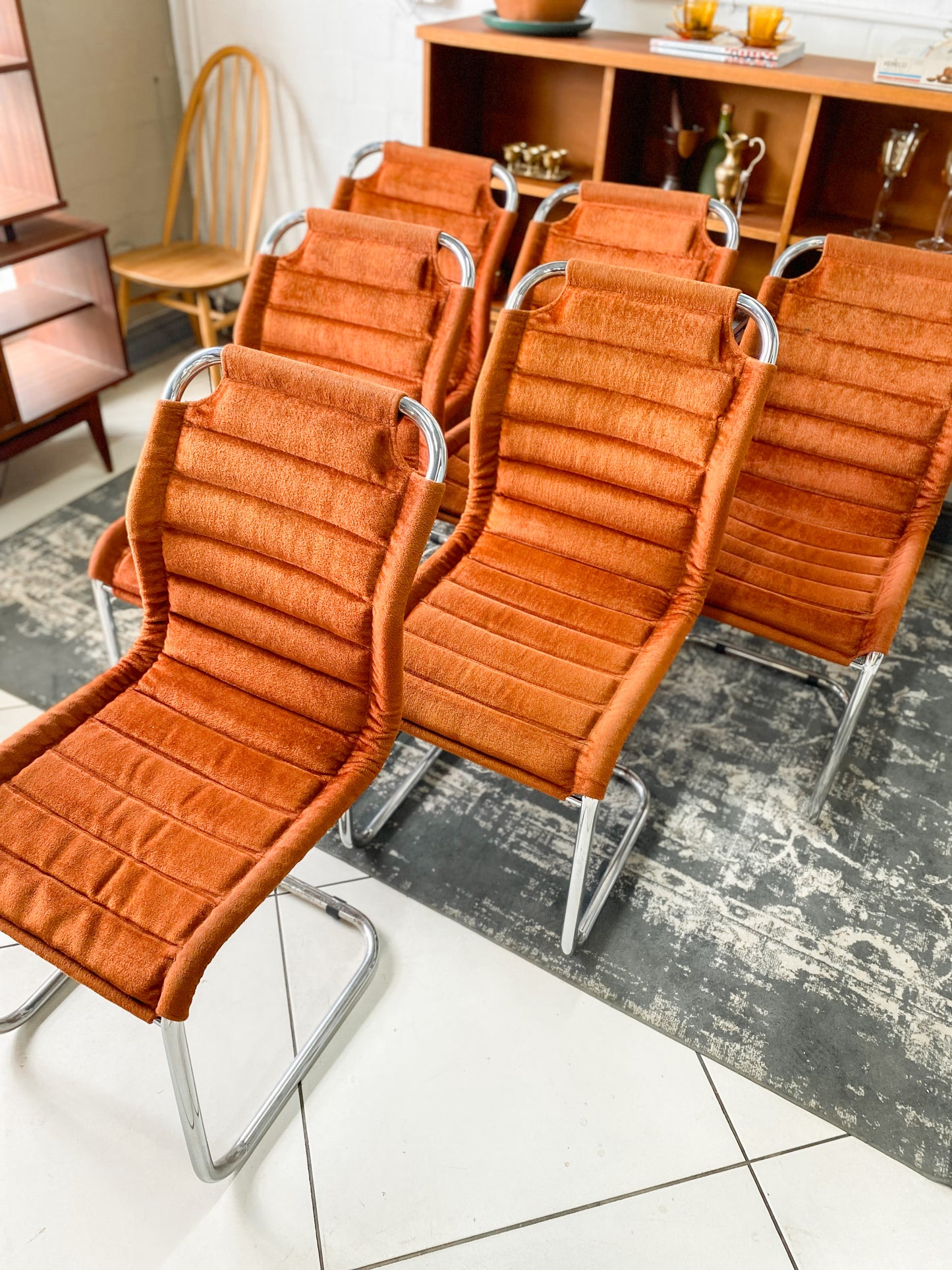 Six Bauhaus Tubular Dining Chairs in Burnt Umber Upholstery