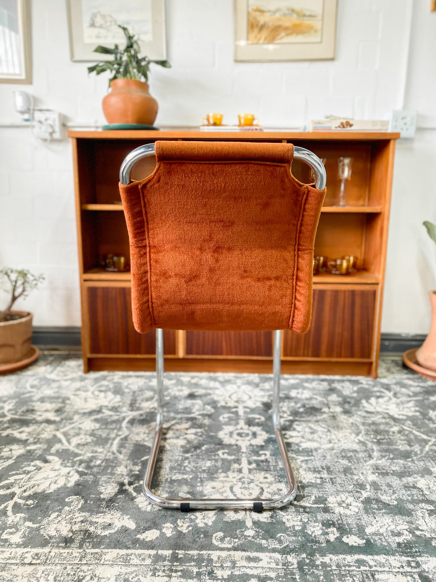 Six Bauhaus Tubular Dining Chairs in Burnt Umber Upholstery