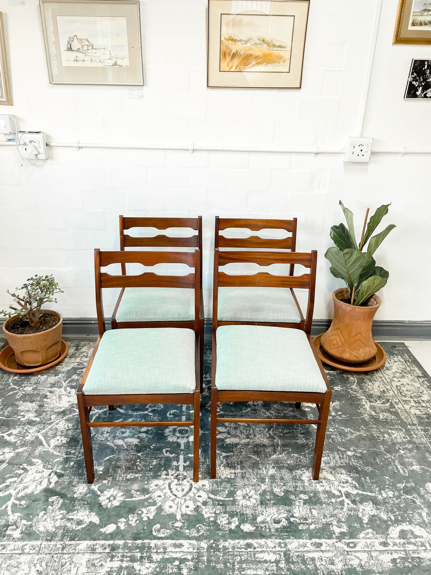Mid Century Dining Chairs