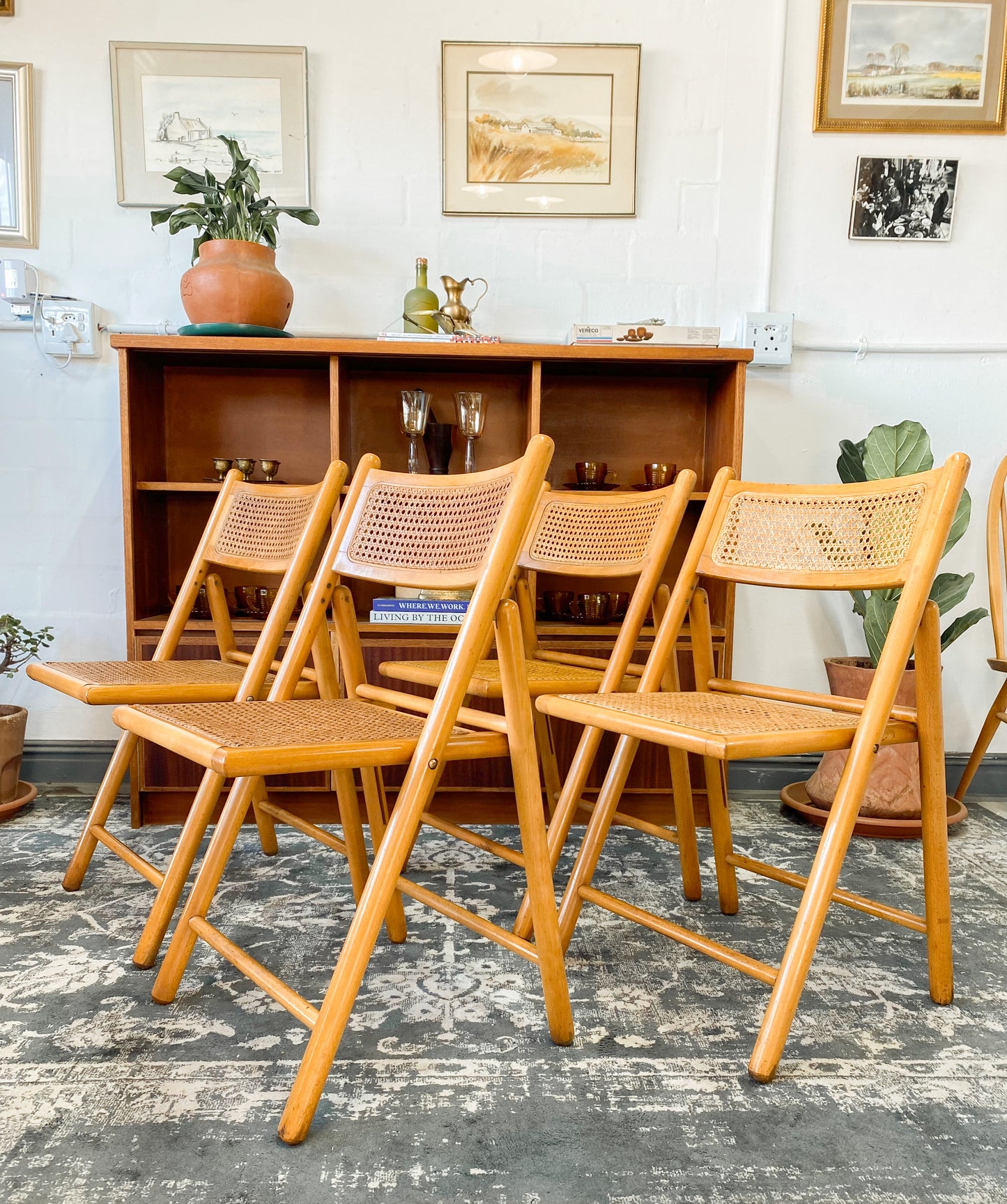 Set of 4 Retro Cane and Beechwood Folding Chairs
