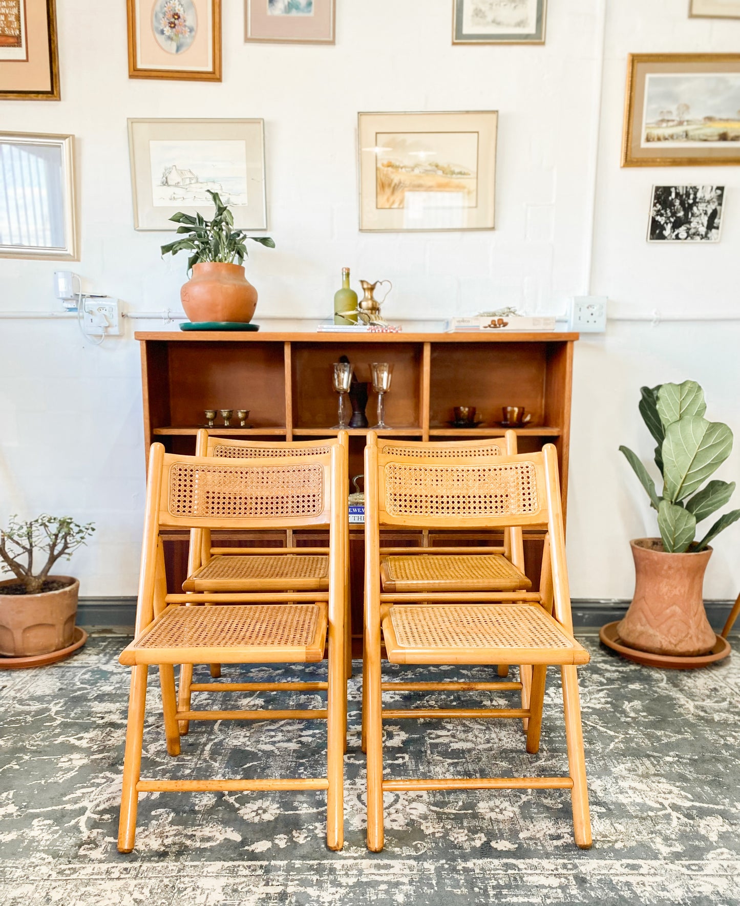 Set of 4 Retro Cane and Beechwood Folding Chairs