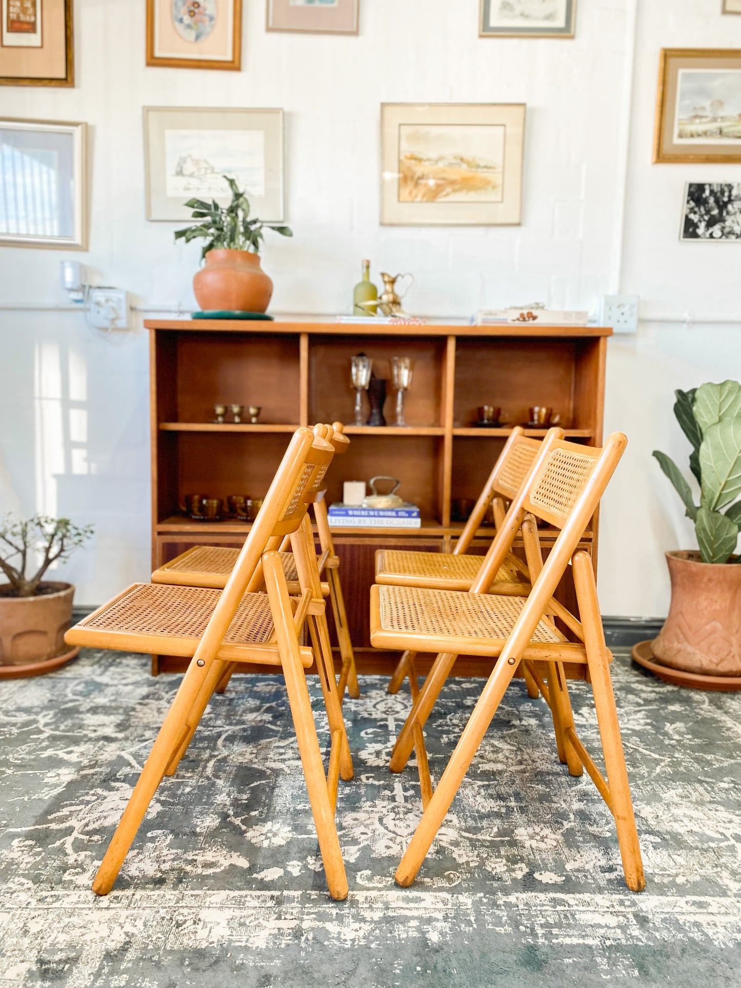 Set of 4 Retro Cane and Beechwood Folding Chairs
