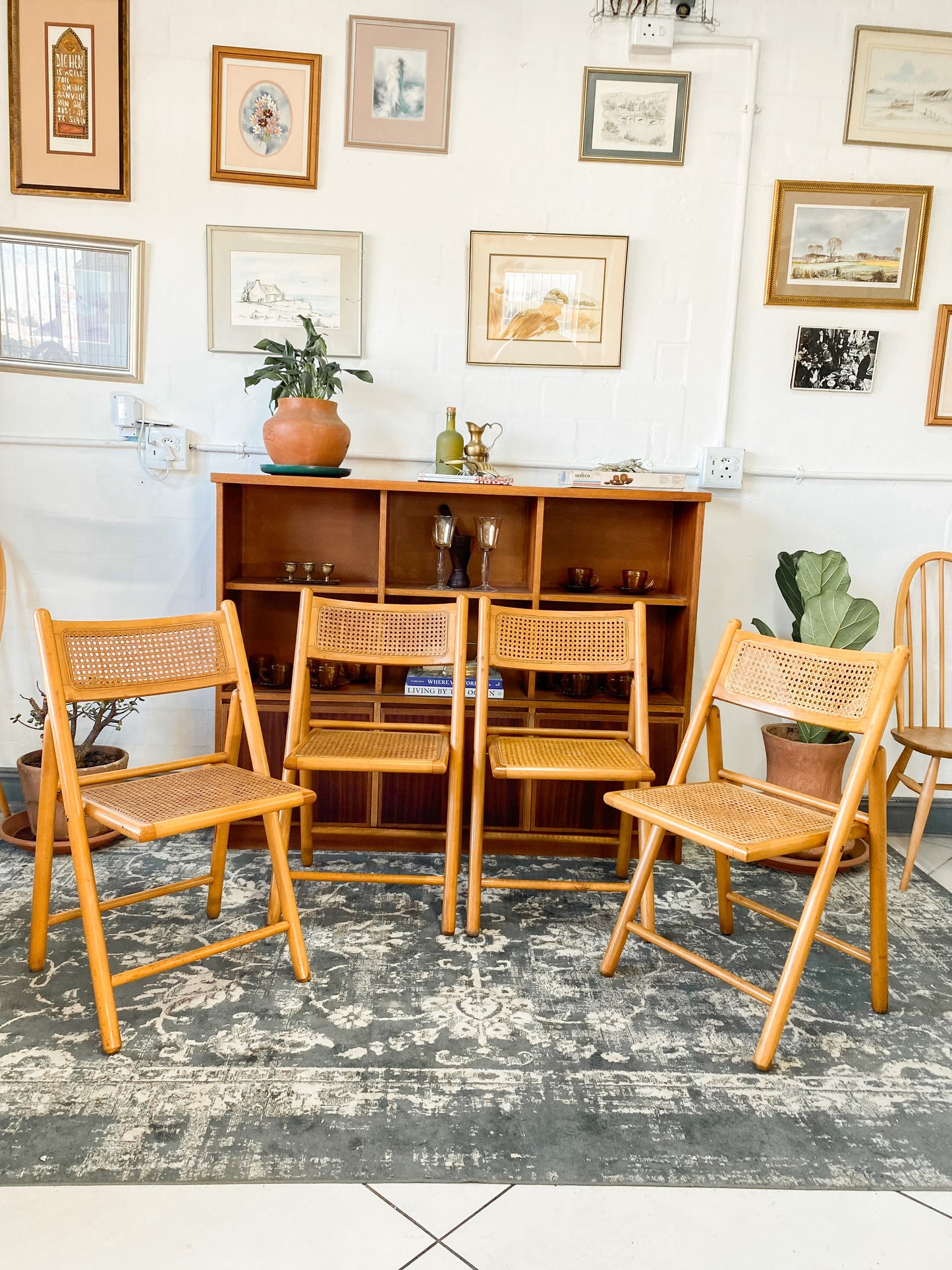 Set of 4 Retro Cane and Beechwood Folding Chairs