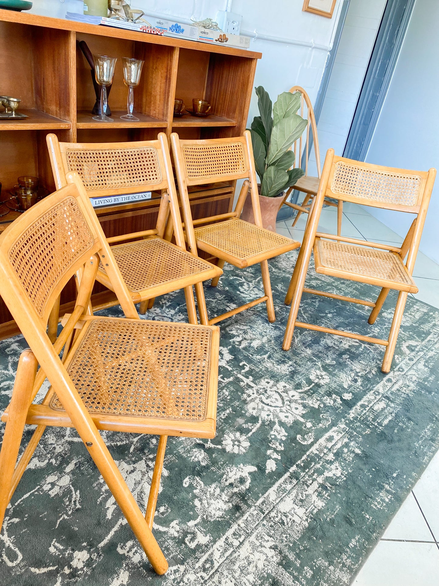 Set of 4 Retro Cane and Beechwood Folding Chairs
