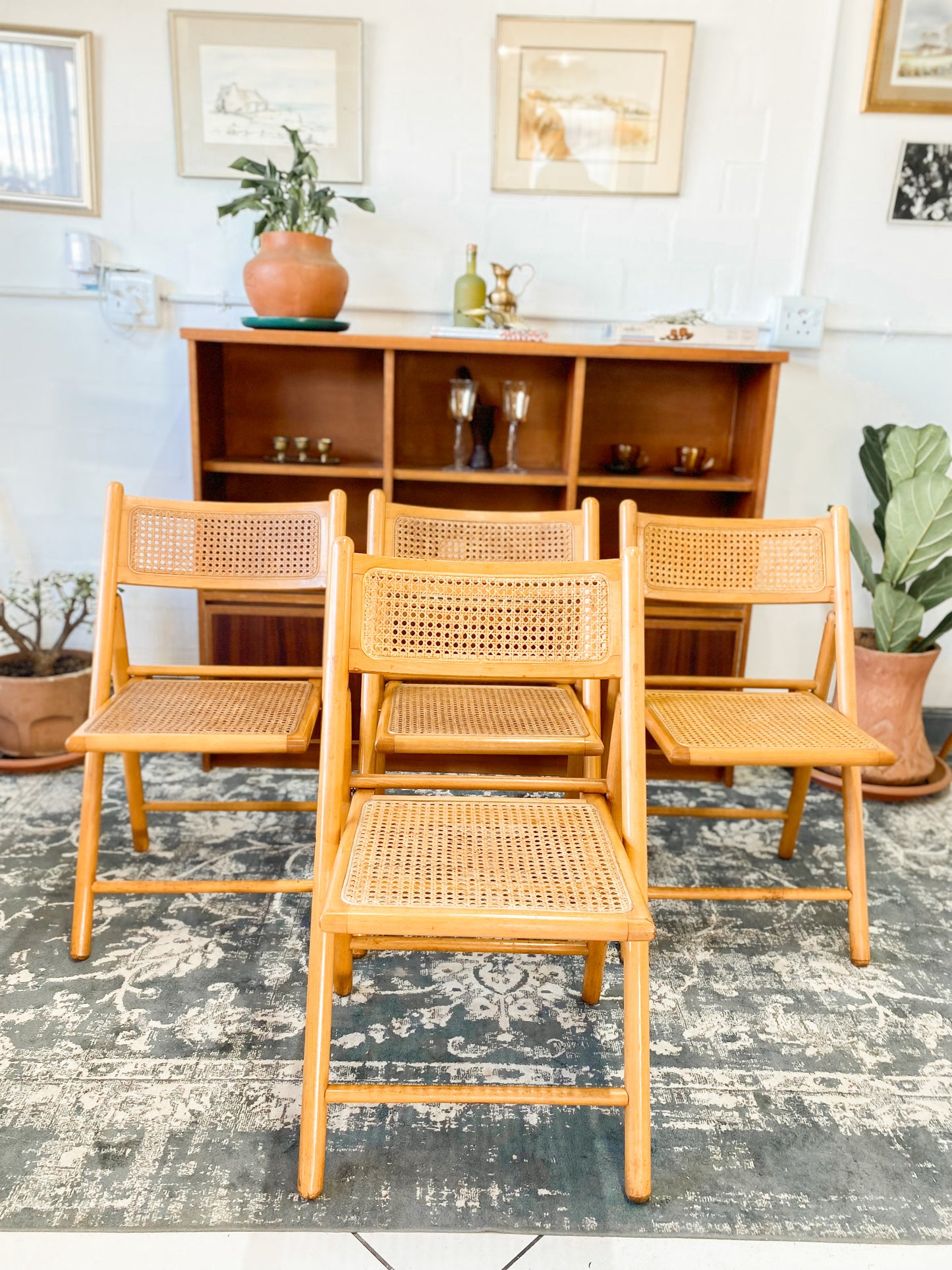 Set of 4 Retro Cane and Beechwood Folding Chairs