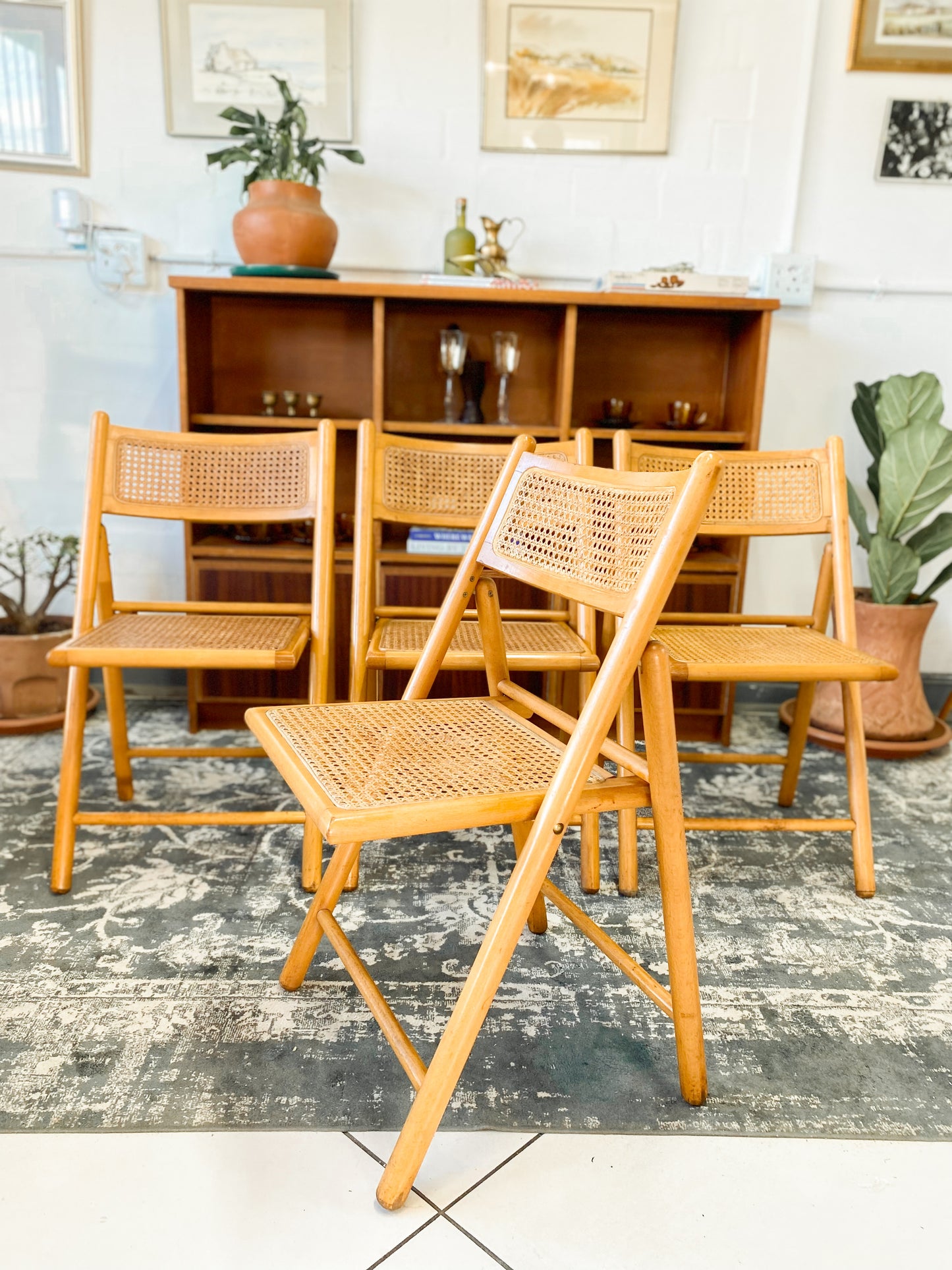 Set of 4 Retro Cane and Beechwood Folding Chairs