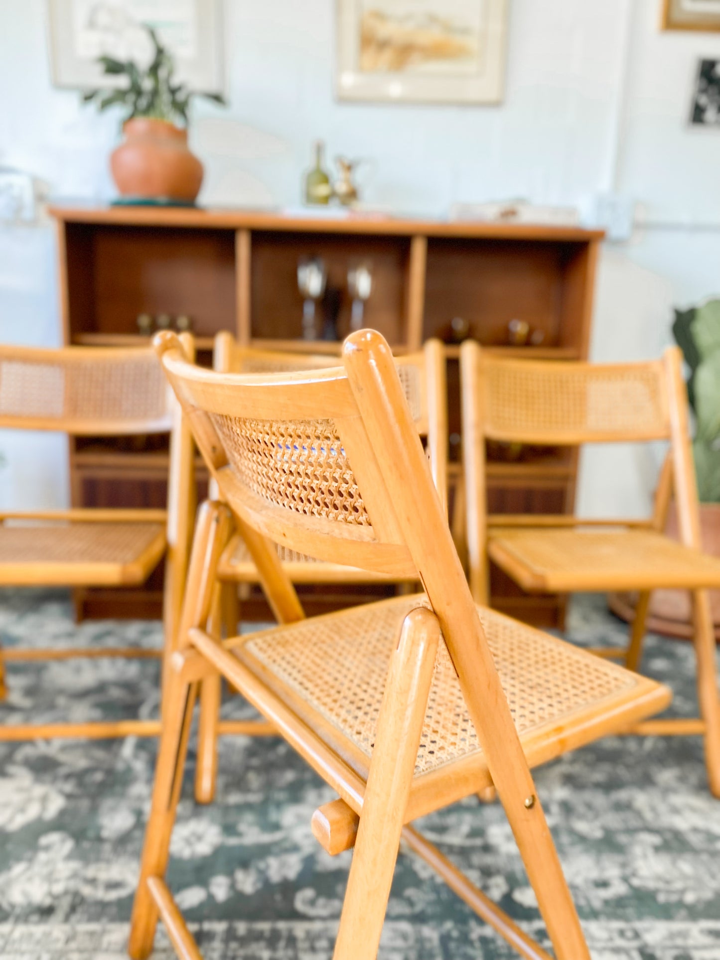 Set of 4 Retro Cane and Beechwood Folding Chairs