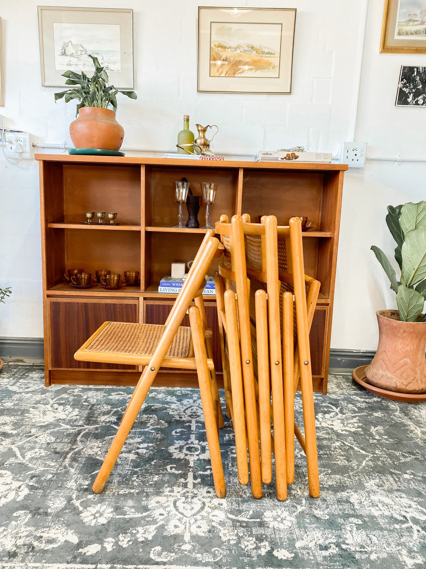 Set of 4 Retro Cane and Beechwood Folding Chairs