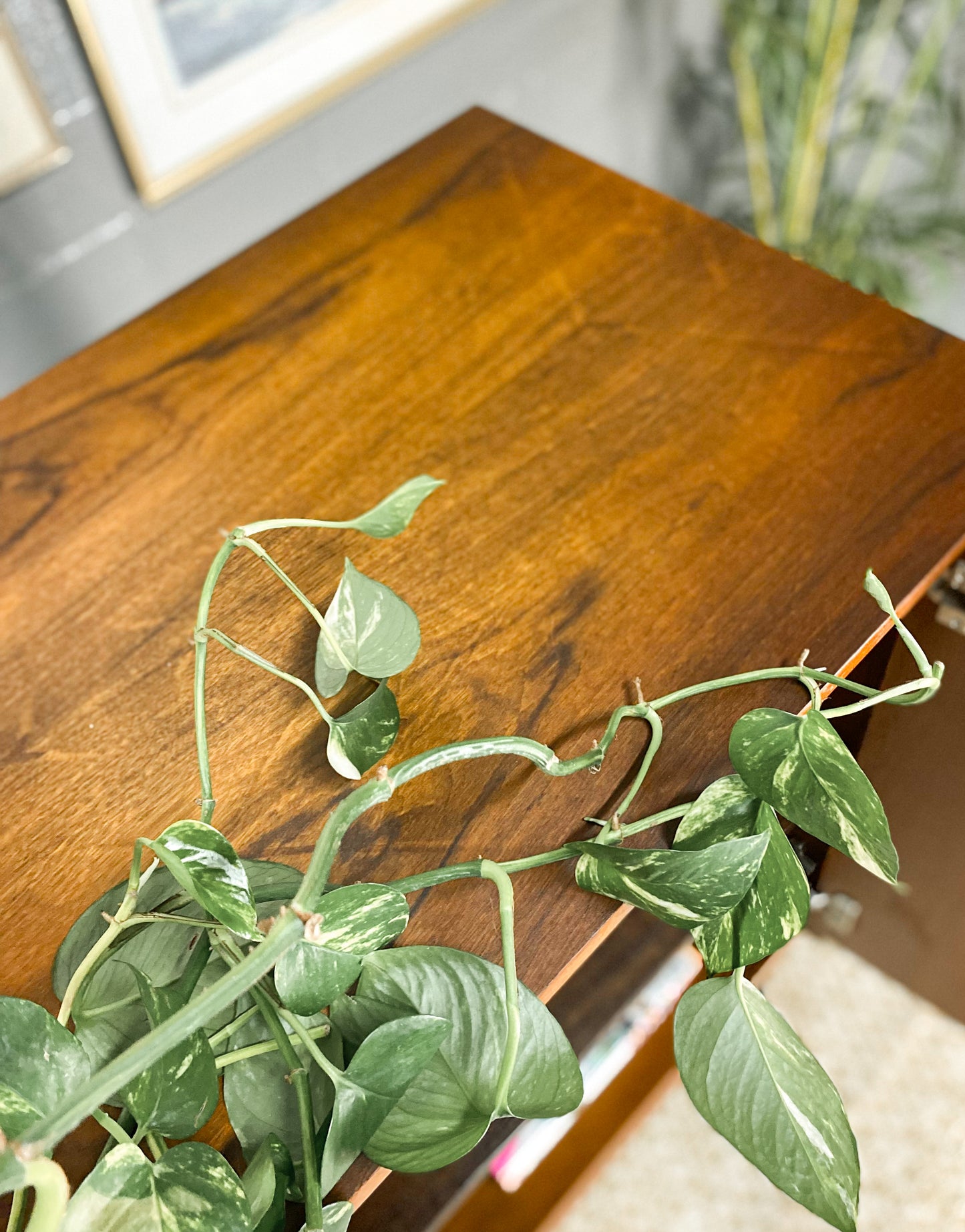 Retro Drinks Cabinet