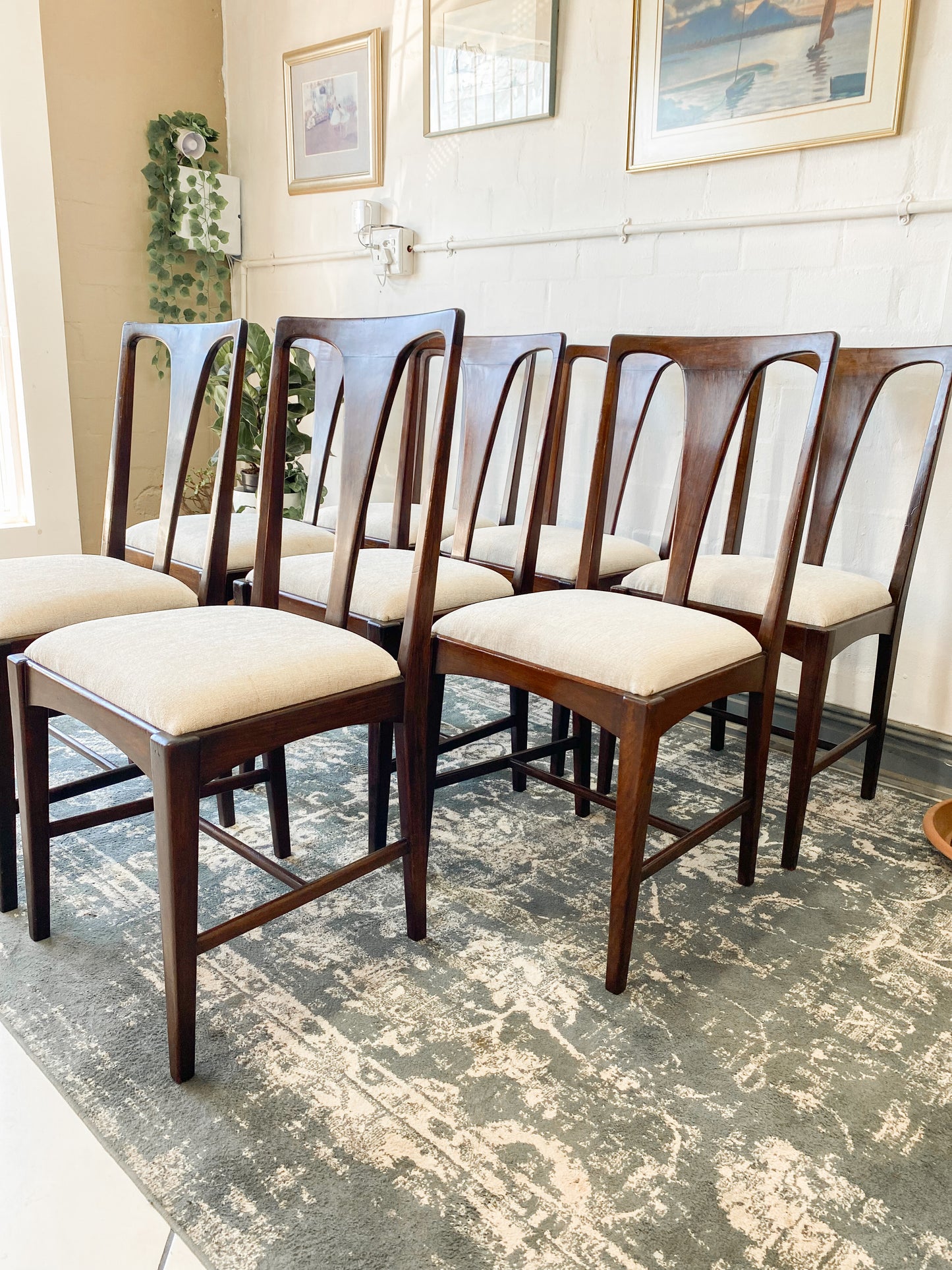 Set of 8 Mid Century Dining Chairs