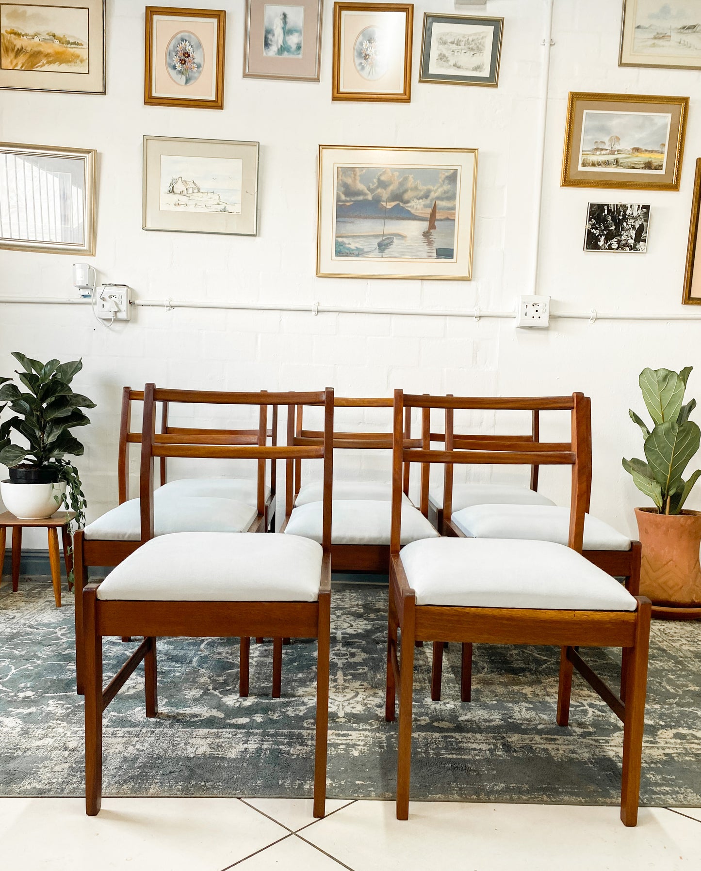 Set of 8 Mid Century Dining Chairs