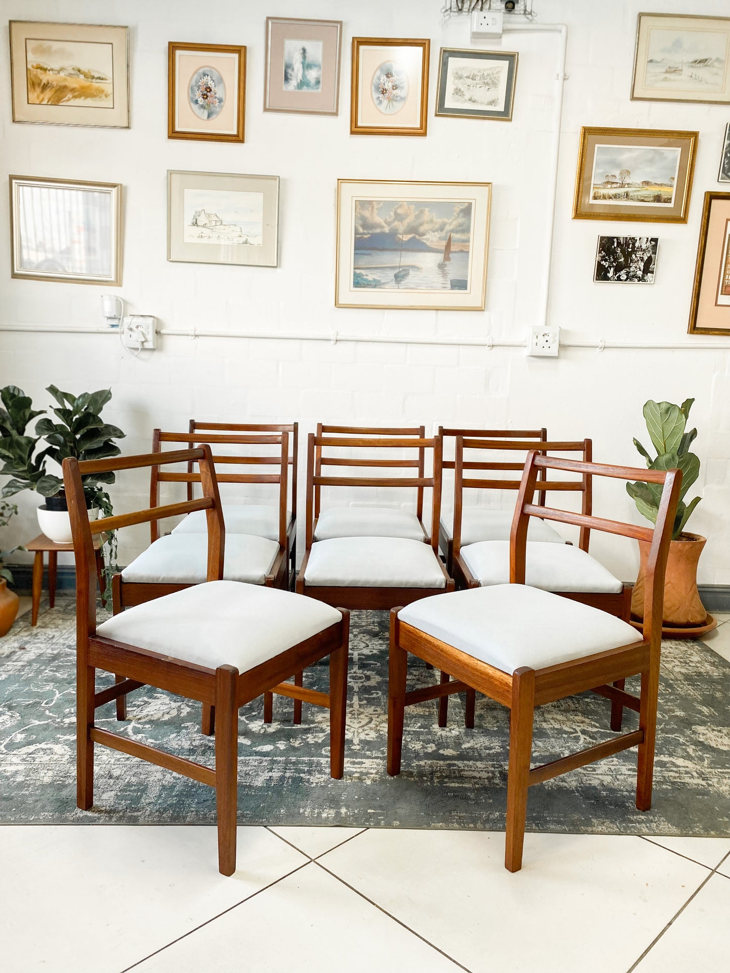 Set of 8 Mid Century Dining Chairs