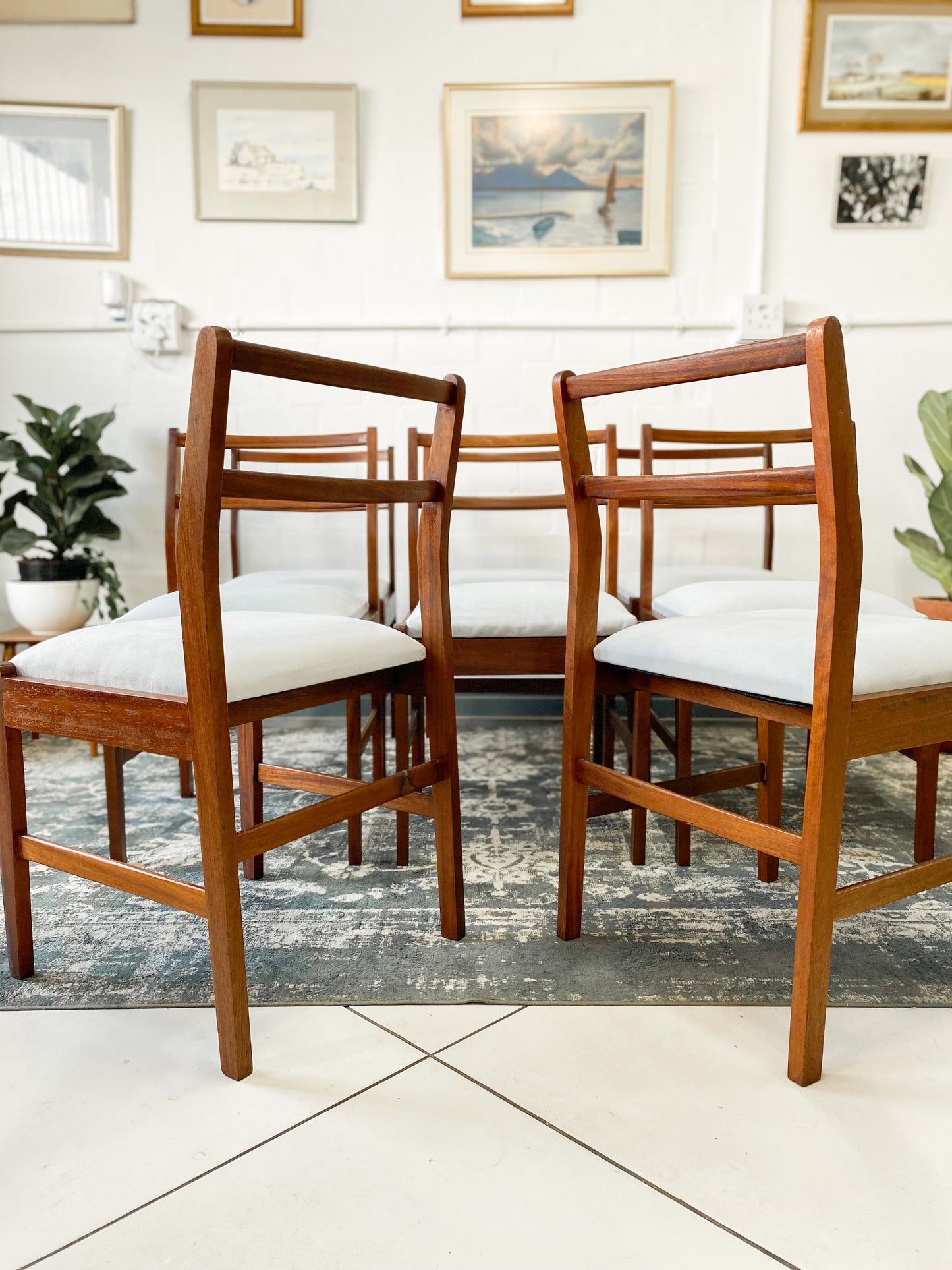 Set of 8 Mid Century Dining Chairs